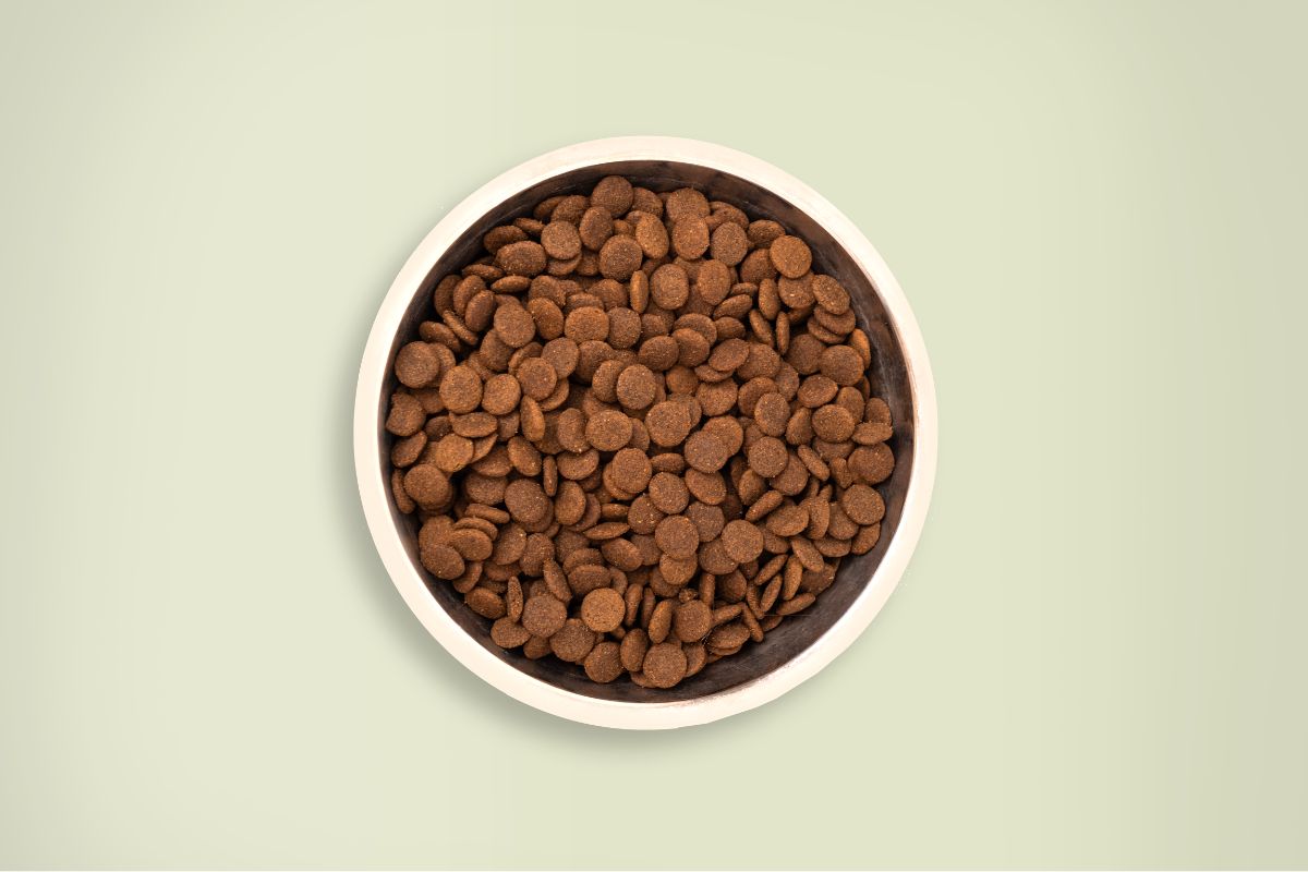 Bowl of grain-free dry dog food