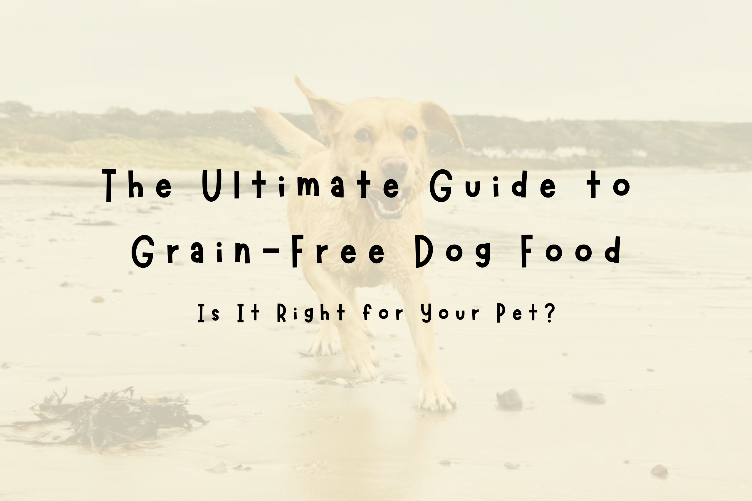 Best Grain-Free Dog Food - Healthy, Natural Nutrition for your Dog