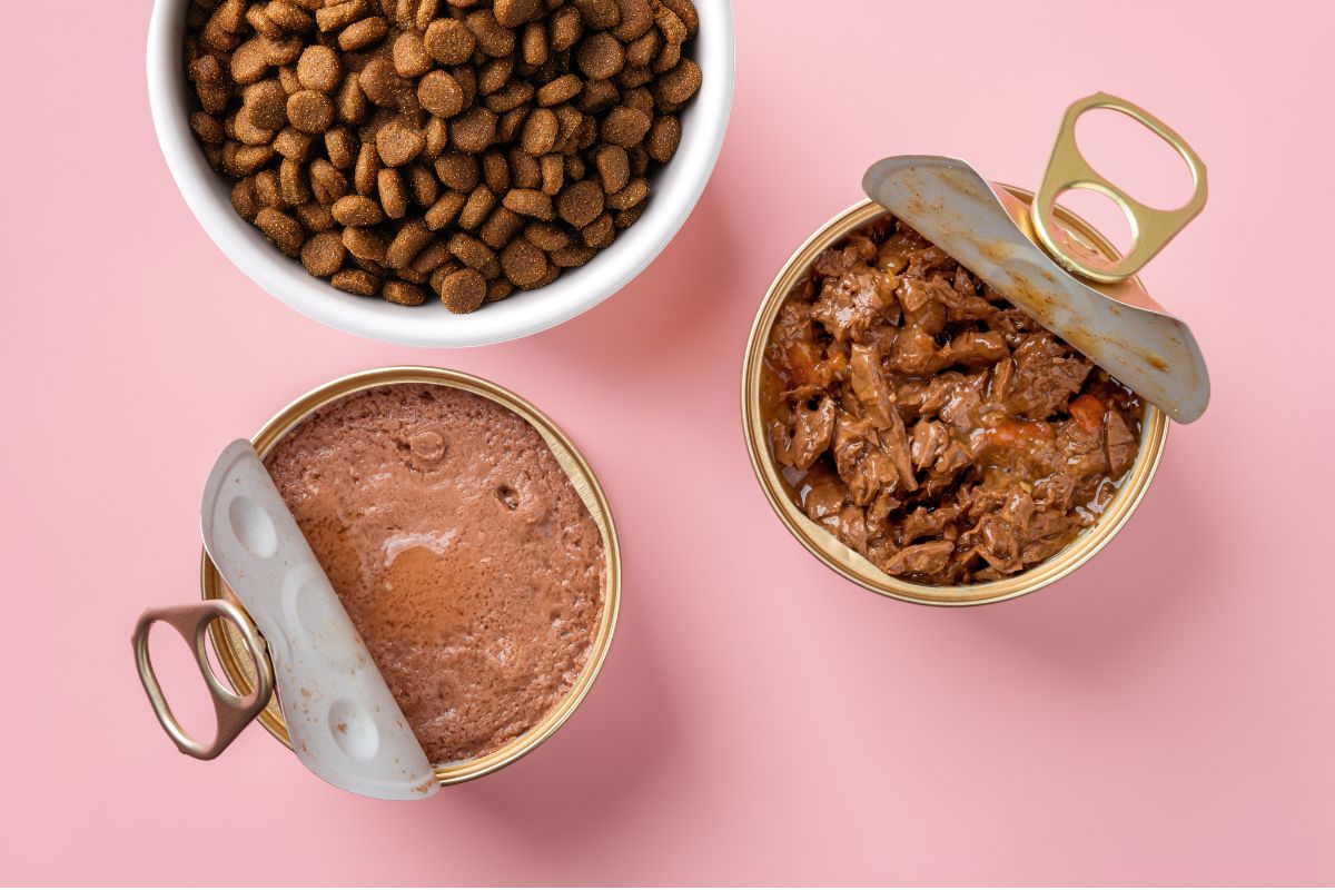 Bowls of dry and wet dog food ready for comparison