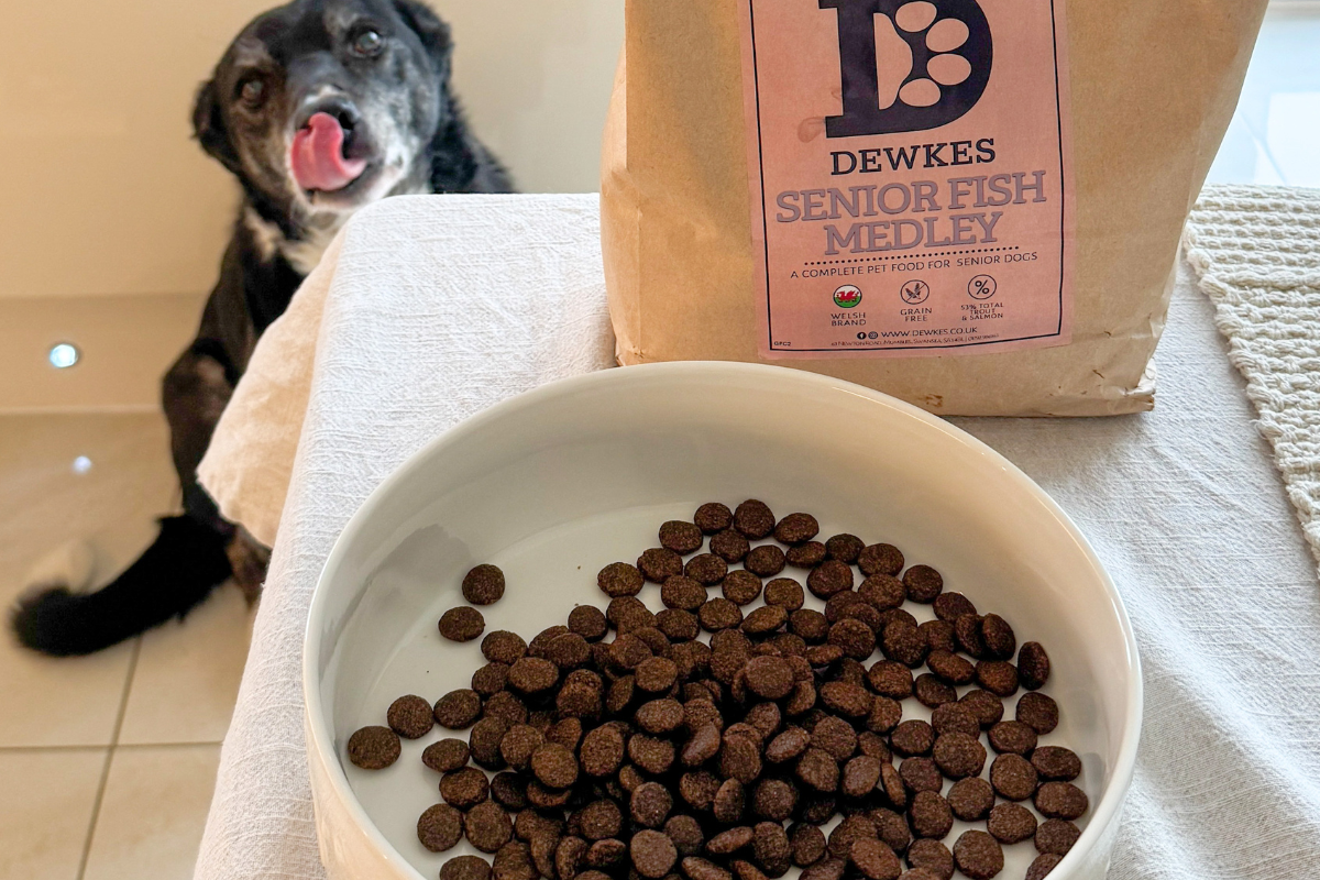 Dog beside a bowl of hypoallergenic dog food