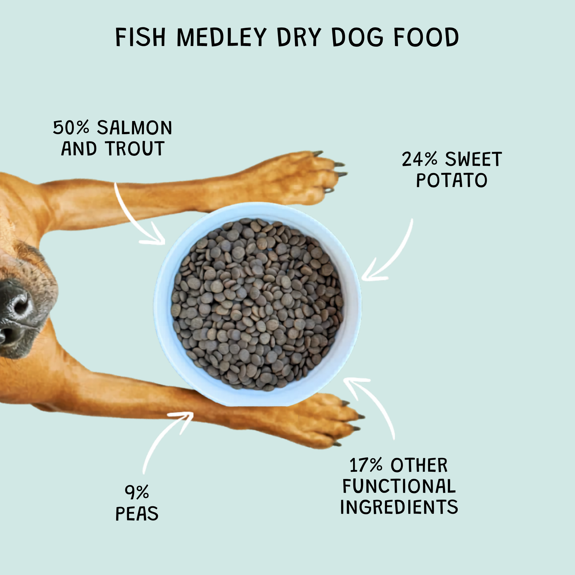 Fish Lovers Bundle