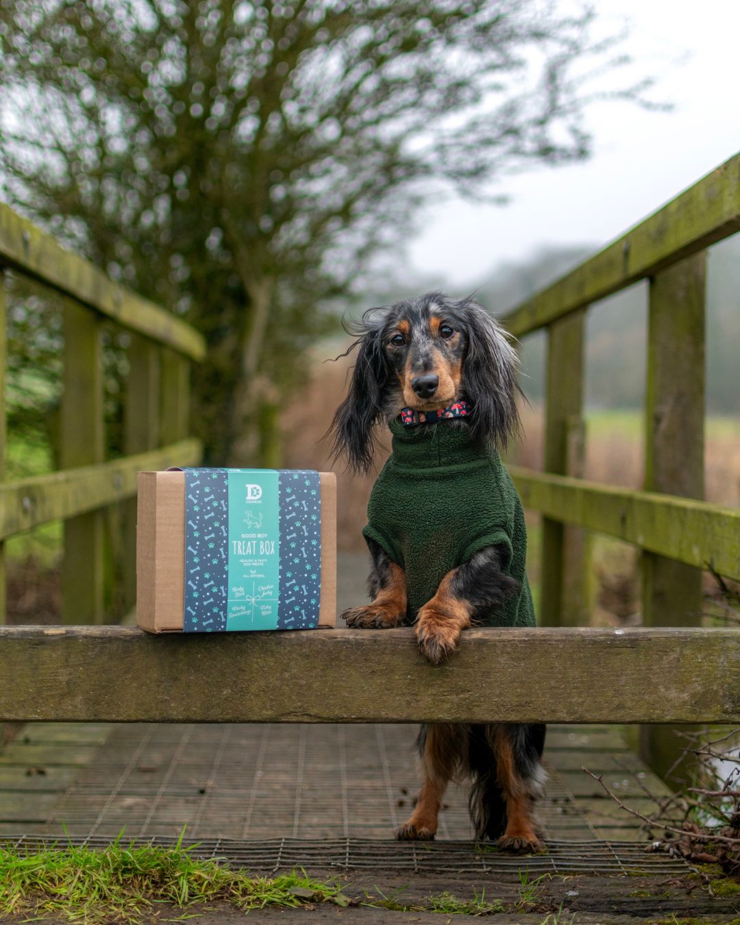 Dewkes Good Boy Treat Box – Natural Rewards for Healthy, Happy Dogs
