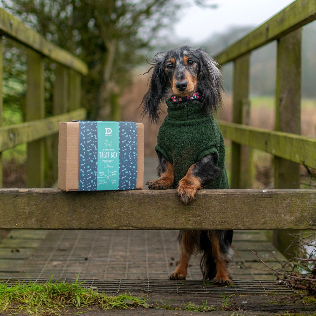 "Good Boy" Dog Treat Gift Box