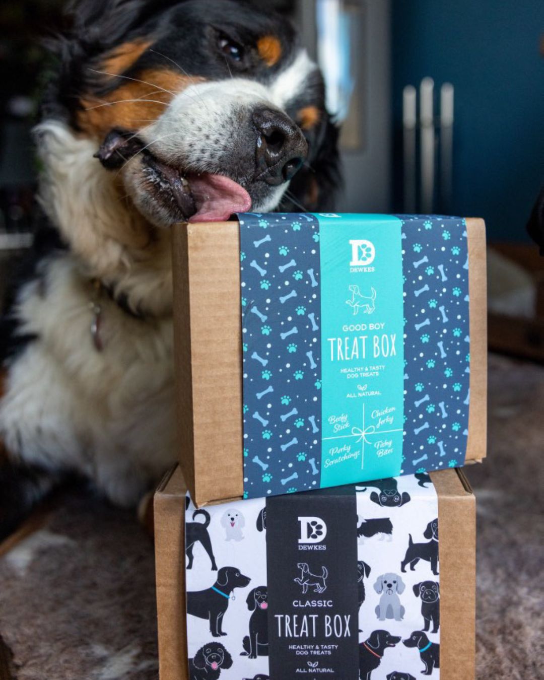 Dewkes Good Boy Treat Box – Natural Rewards for Healthy, Happy Dogs