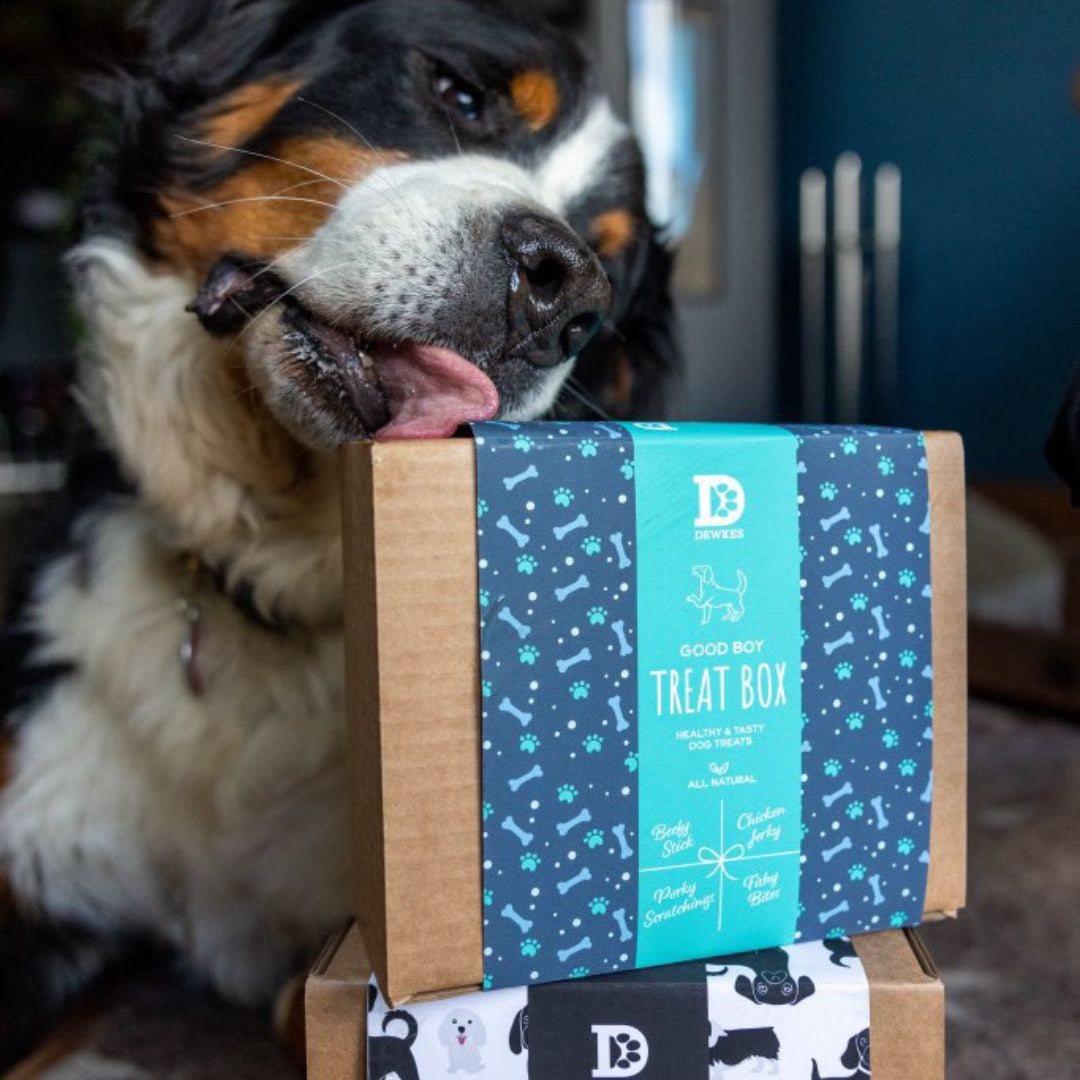 "Good Boy" Dog Treat Gift Box