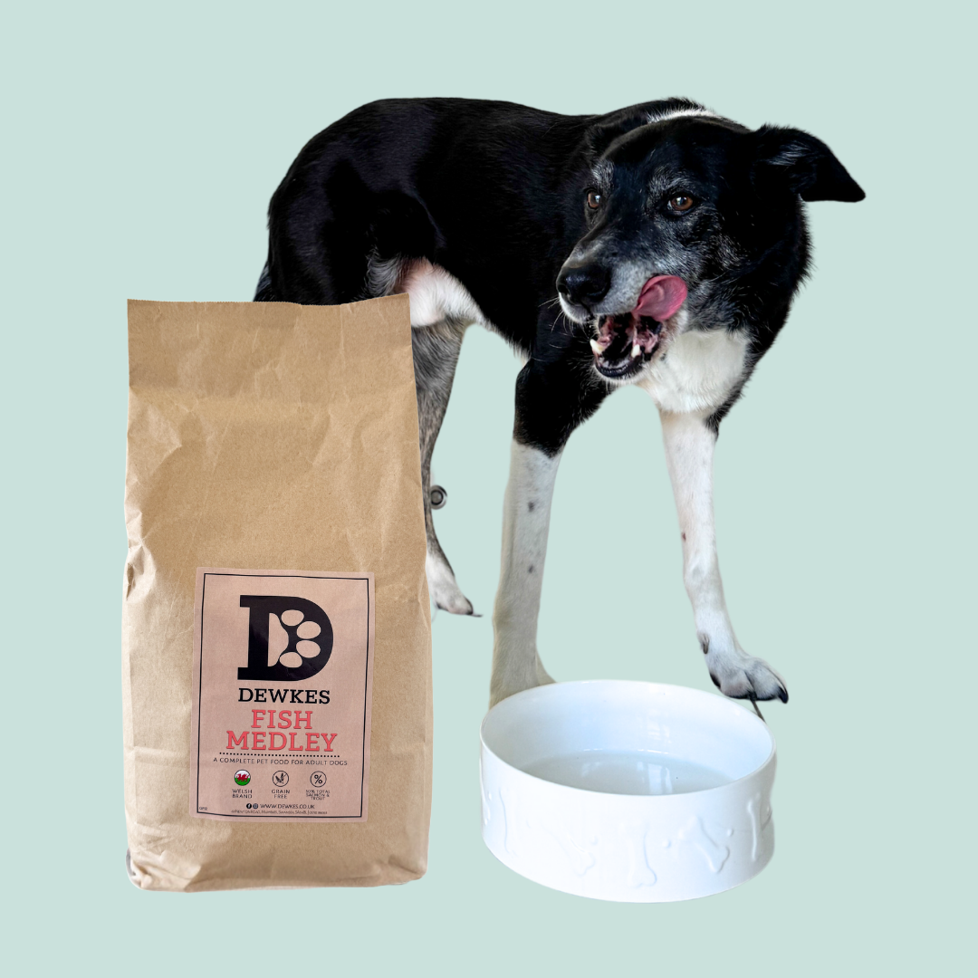 Fish Medley Grain-Free Dry Dog Food