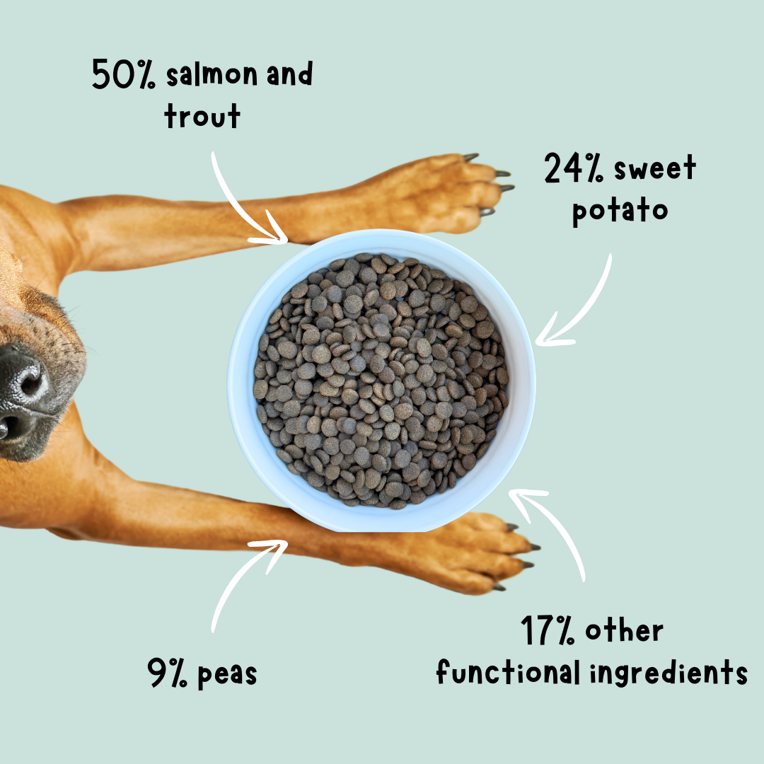 Fish Medley Grain-Free Dry Dog Food