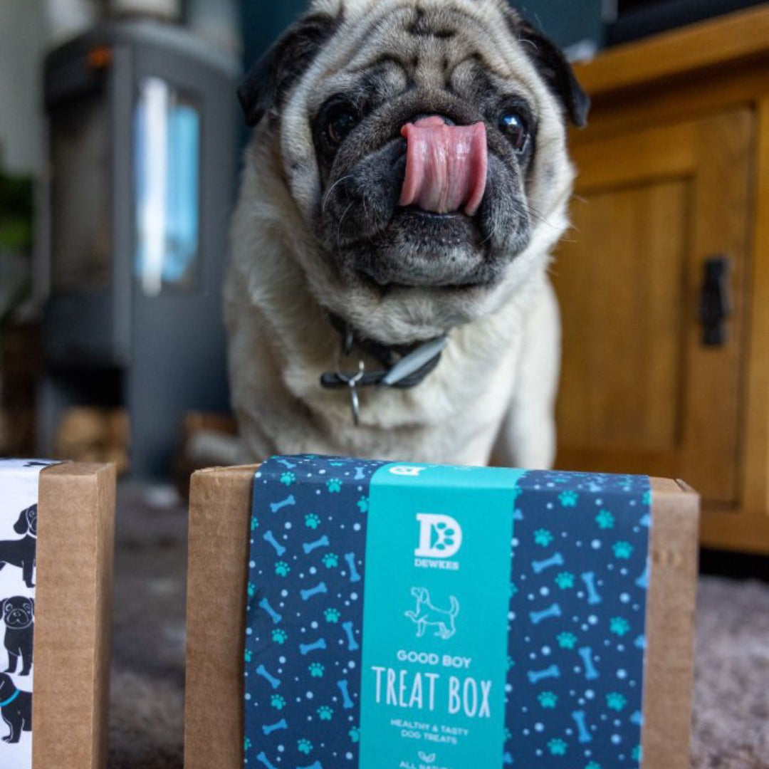 "Good Boy" Dog Treat Gift Box