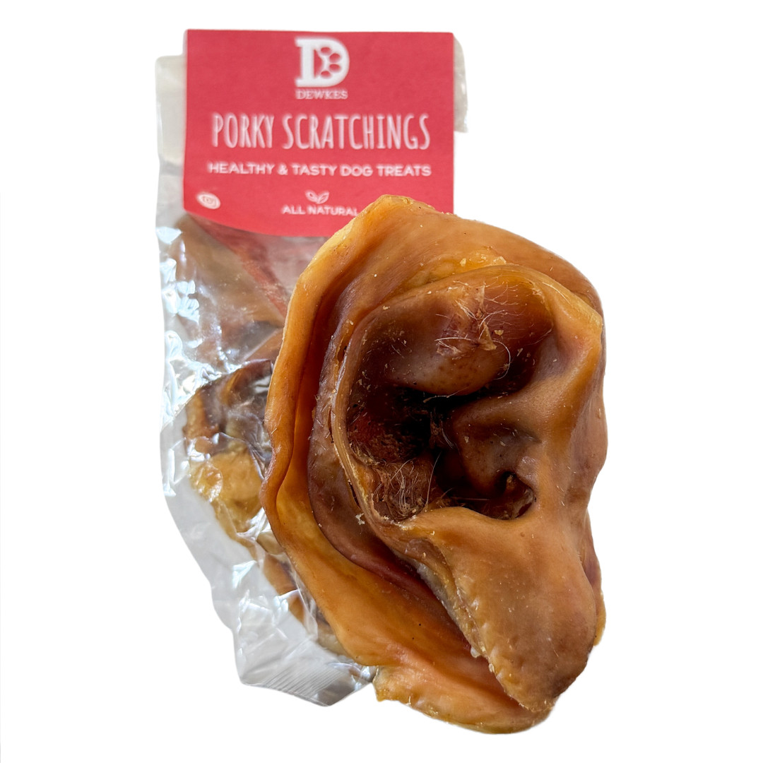 Birthday Dog Treat Gift Box