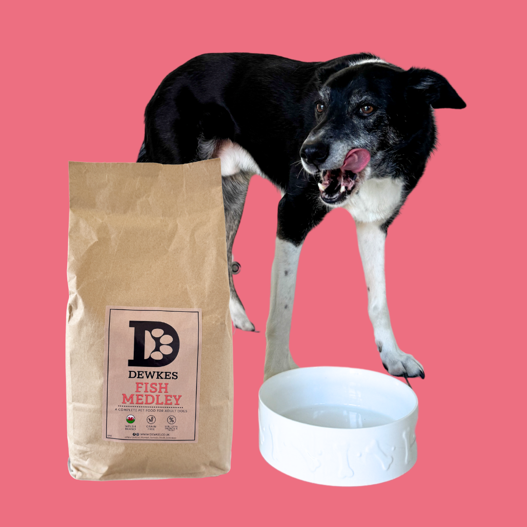 Fish Medley Senior Grain-Free Dry Dog Food