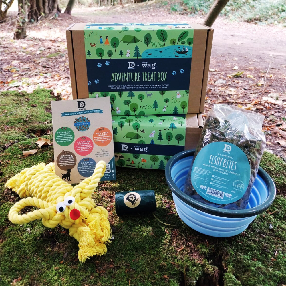 Dewkes and Henry Wag Adventure Treat Gift Box