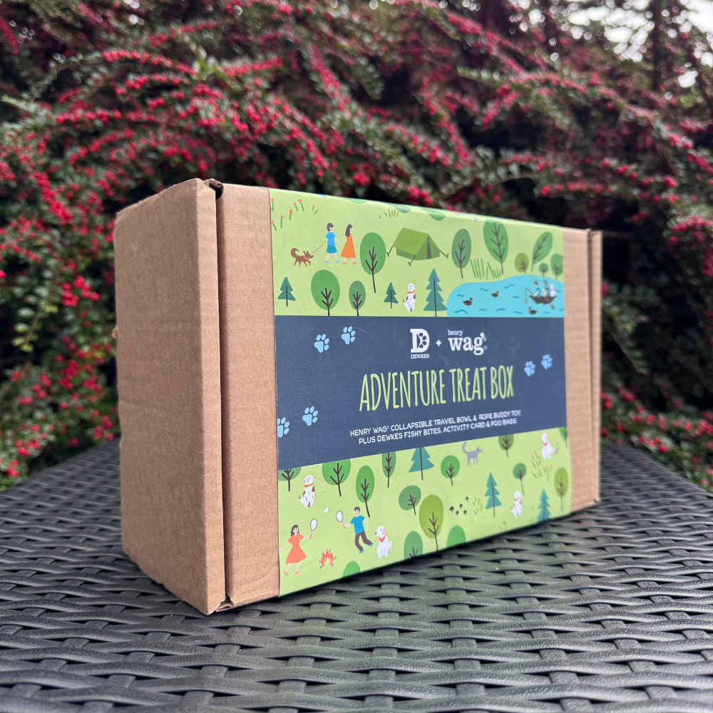 Dewkes and Henry Wag Adventure Treat Gift Box