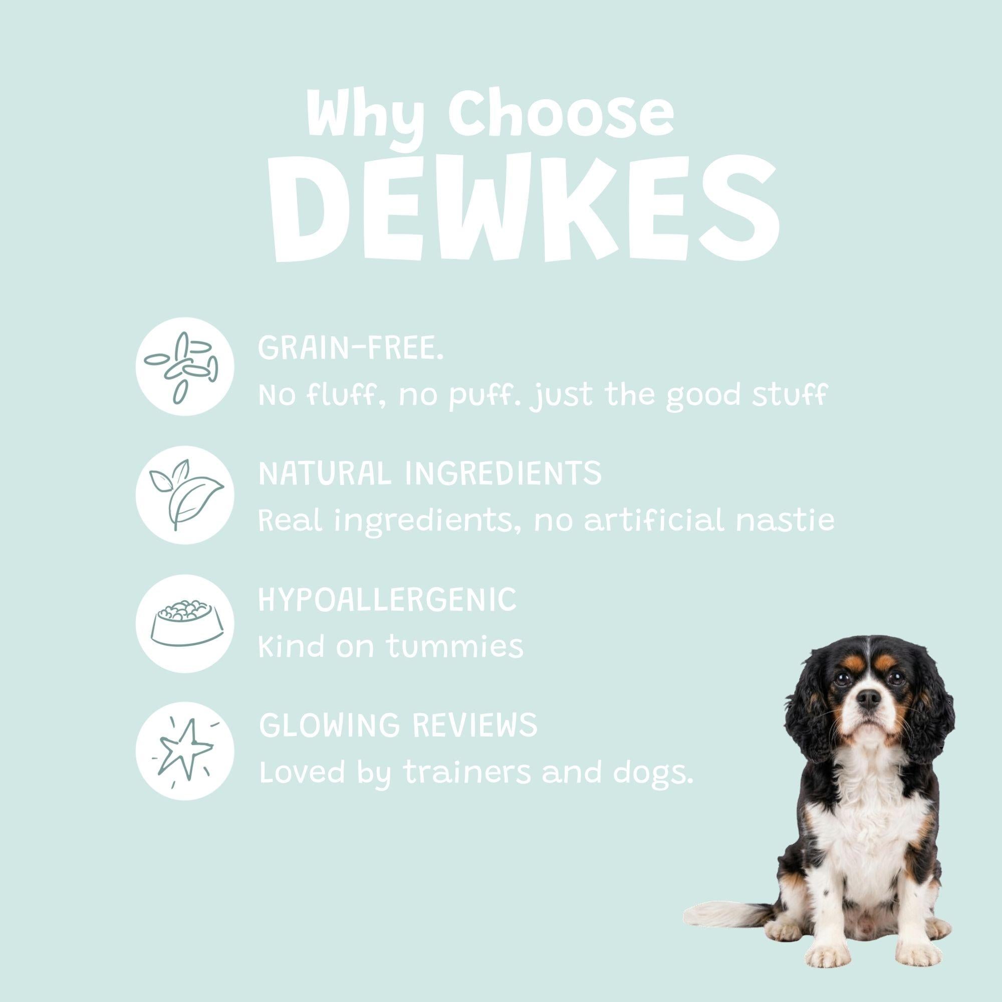 Fish Medley Grain-Free Dry Dog Food