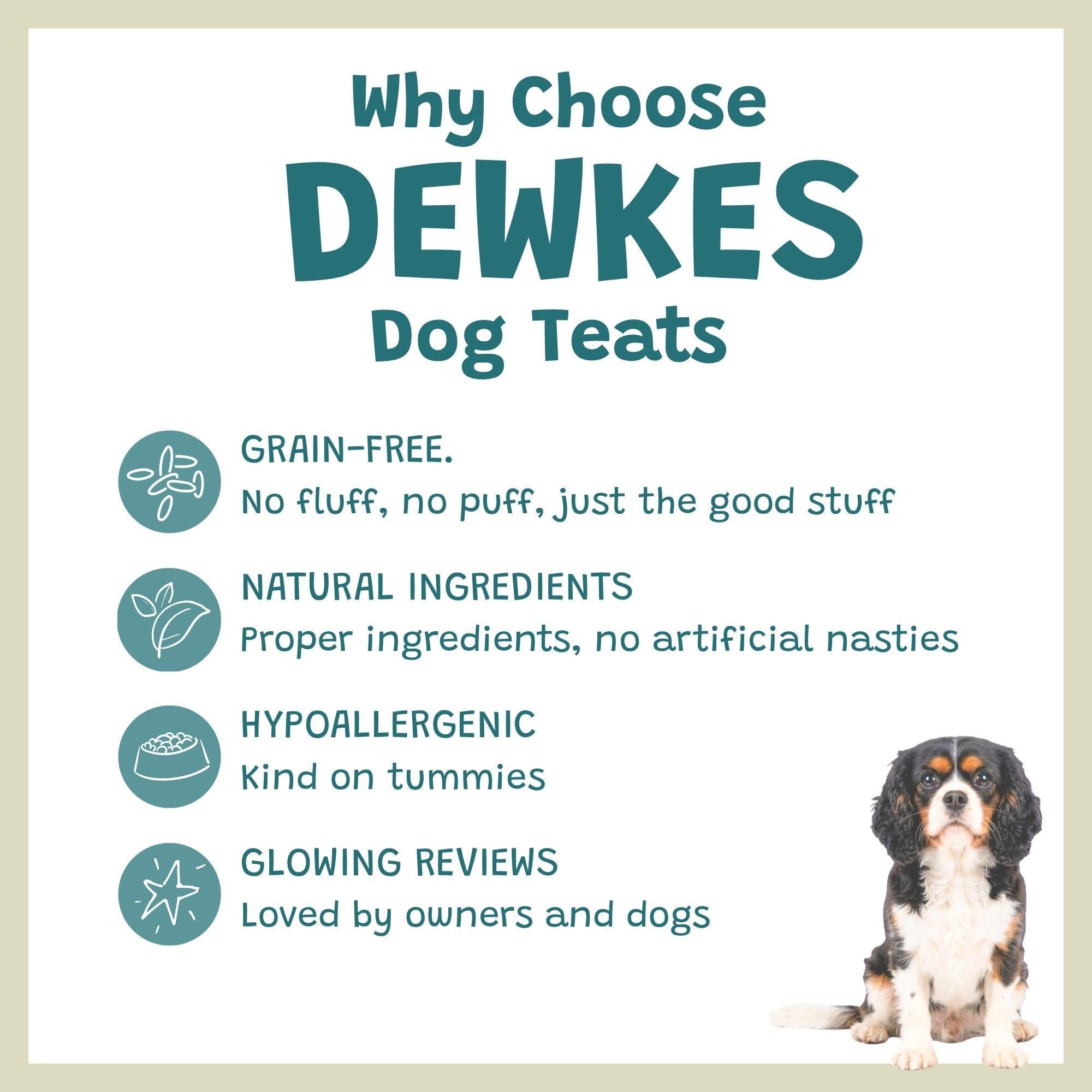 Classic Dog Treat Variety Box
