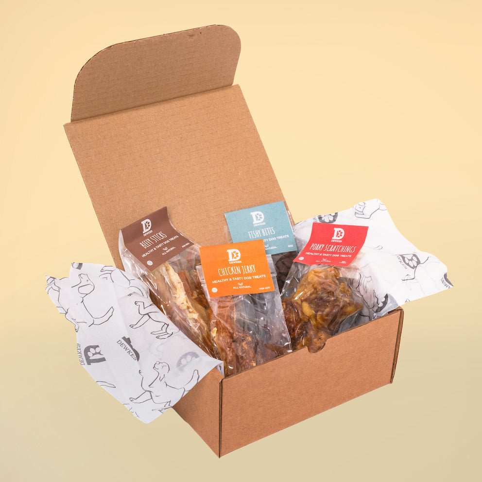 Birthday Dog Treat Box