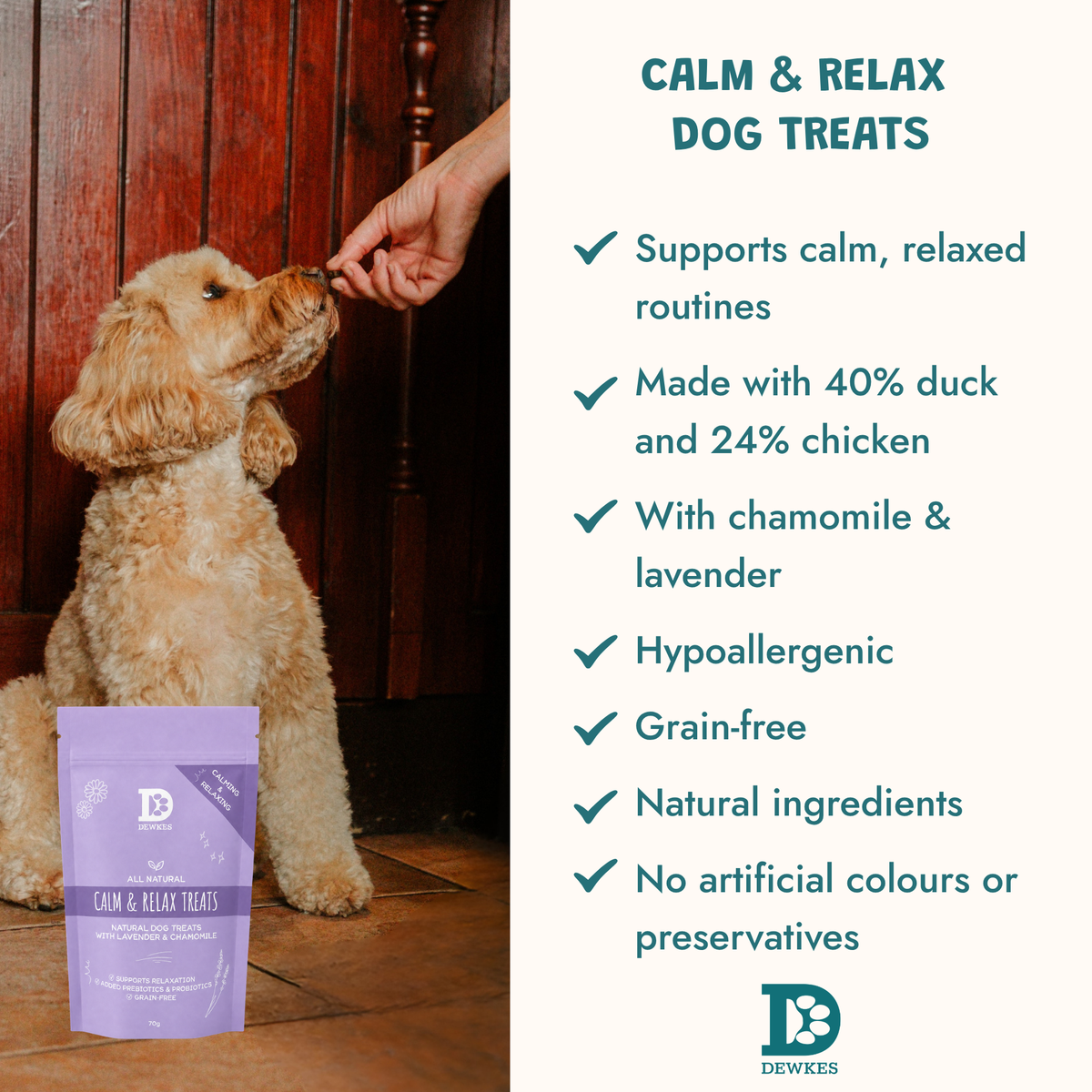 Chill & Chew Dog Treat Bundle