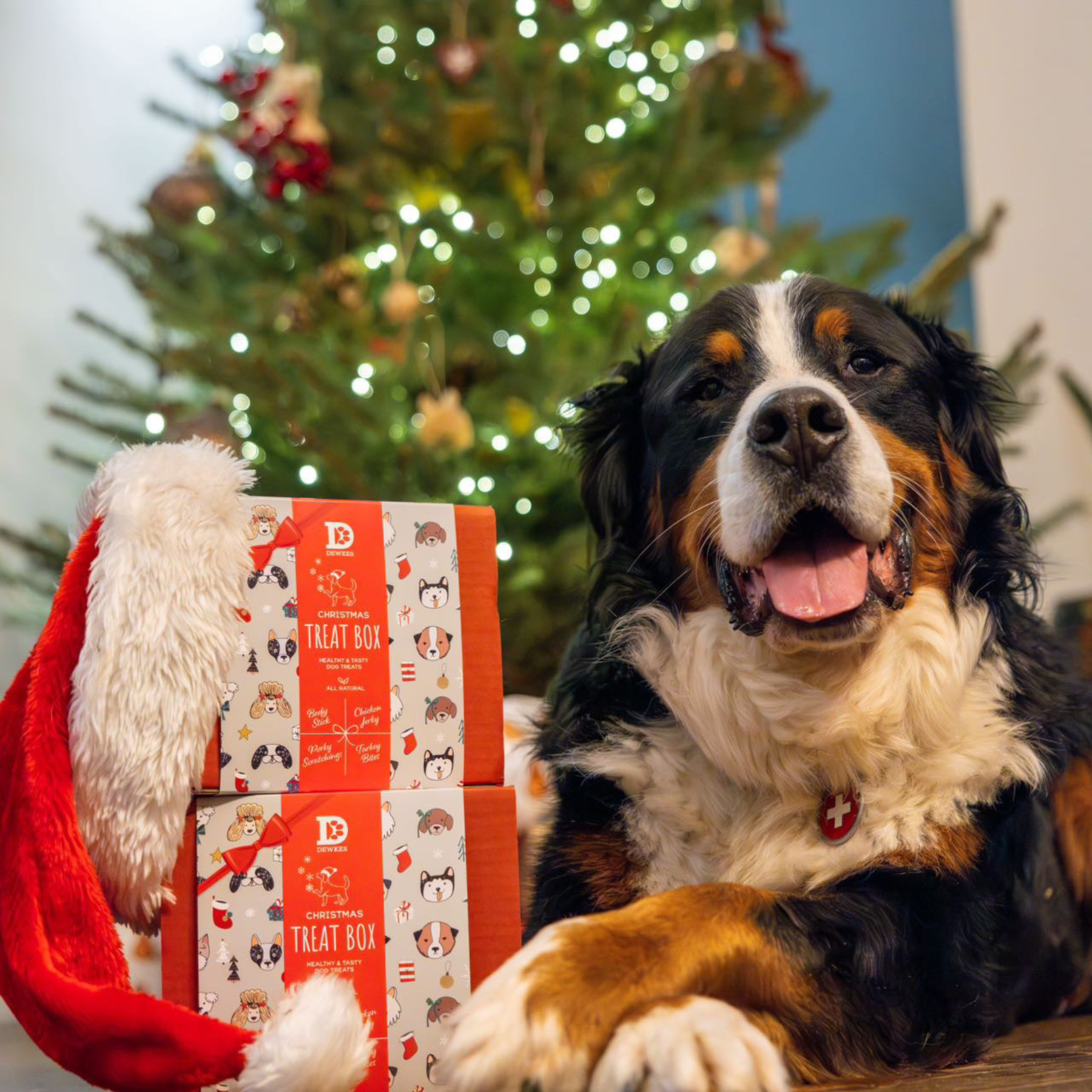 Christmas Dog Gift Box