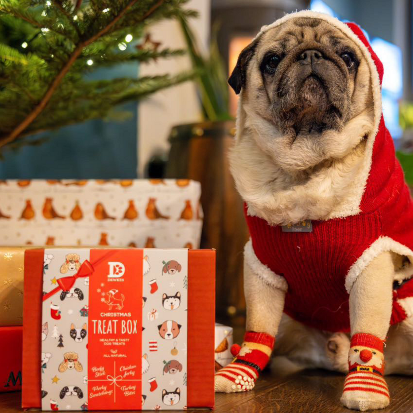 🎄Dewkes Christmas Dog Gift Box | The Ultimate Festive Treat For Your Furry Friend🎁🐾