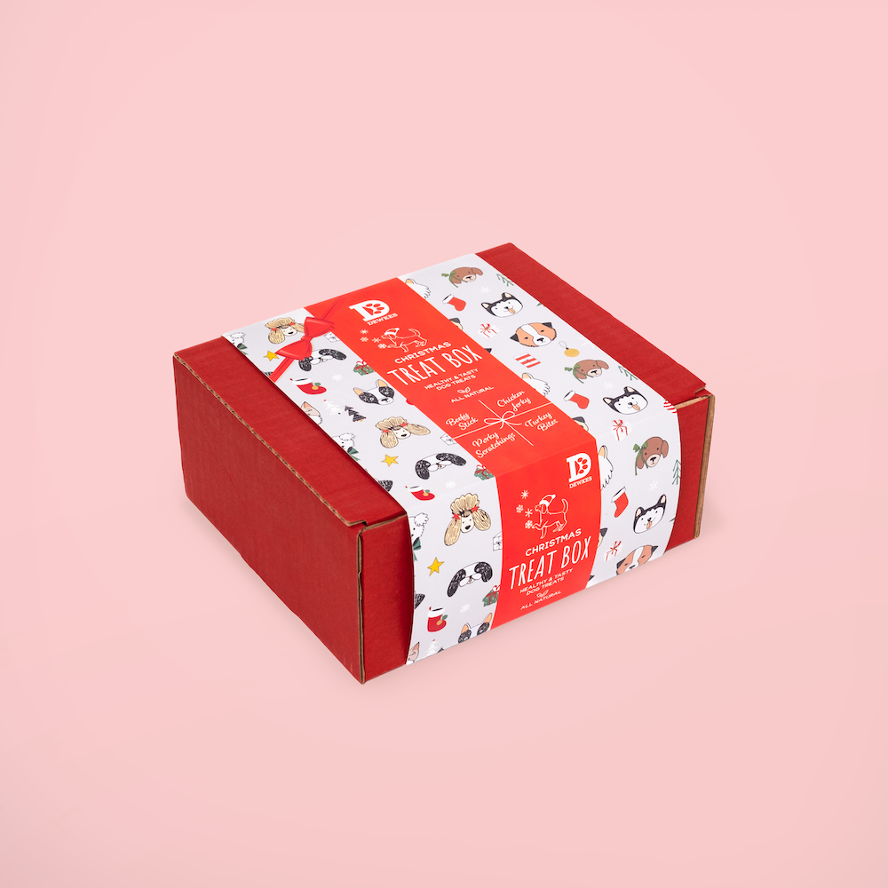 Christmas Dog Treat Gift Box