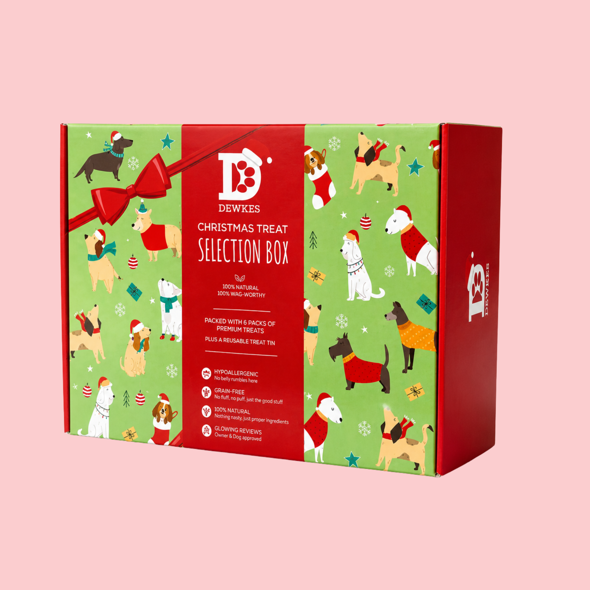Christmas Dog Treat Gift Box