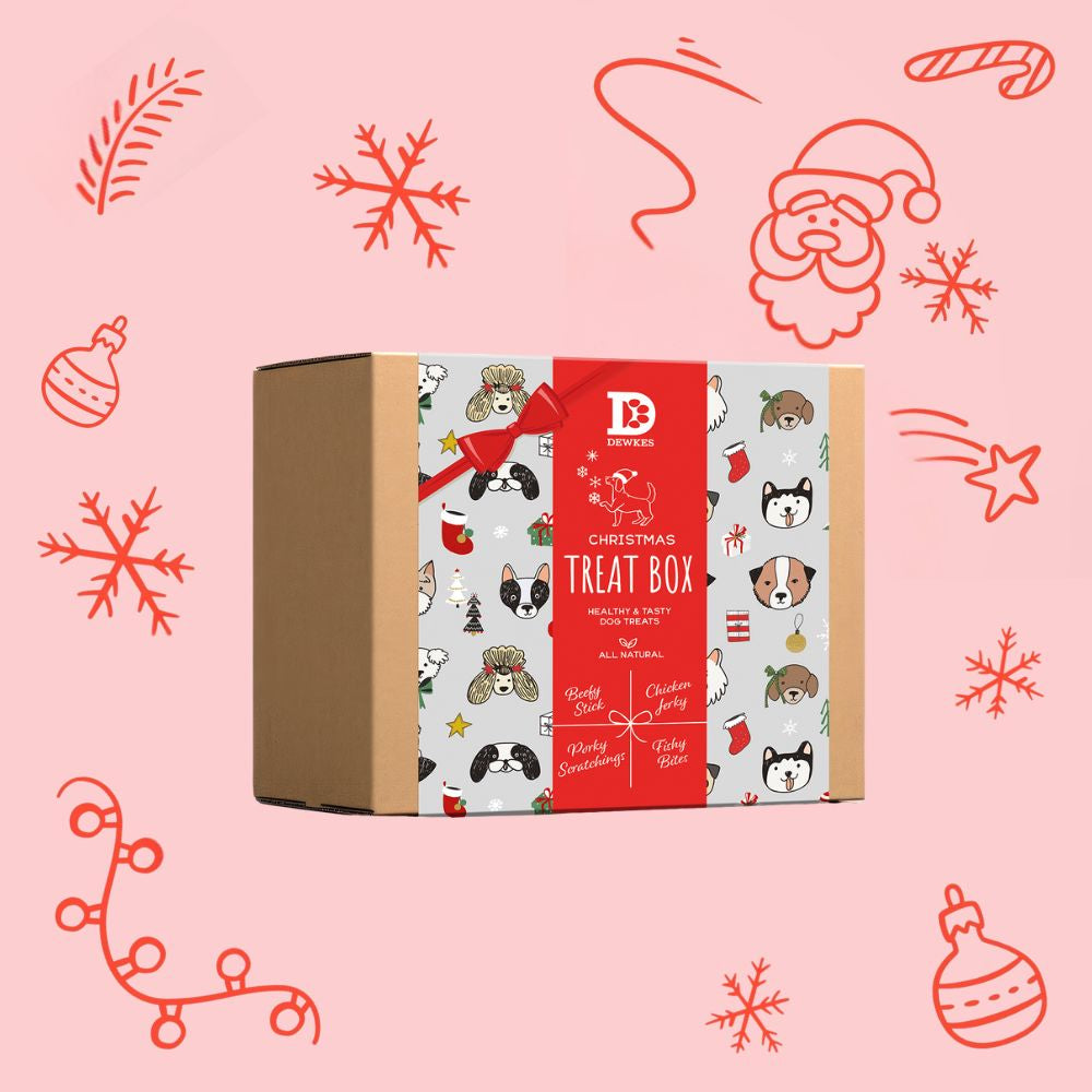 Christmas Dog Treat Gift Box