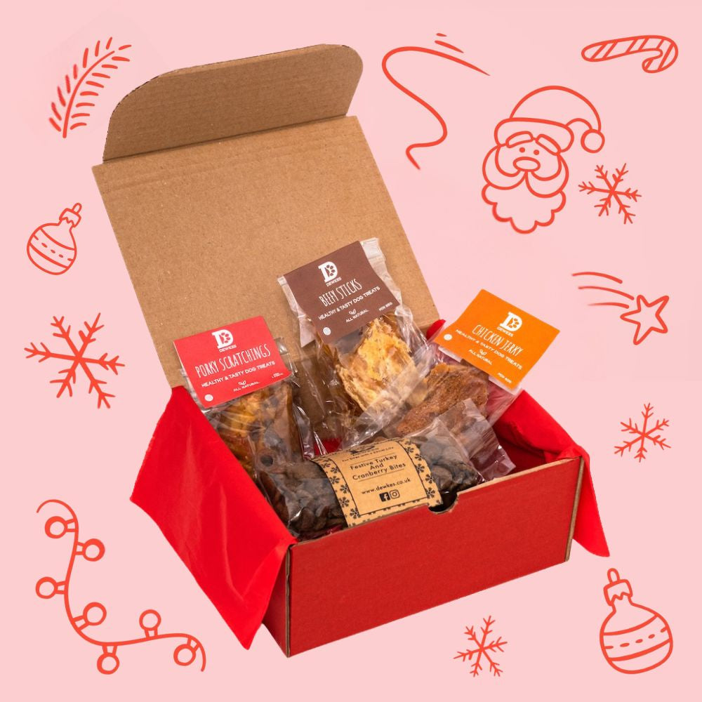 Christmas Dog Treat Gift Box