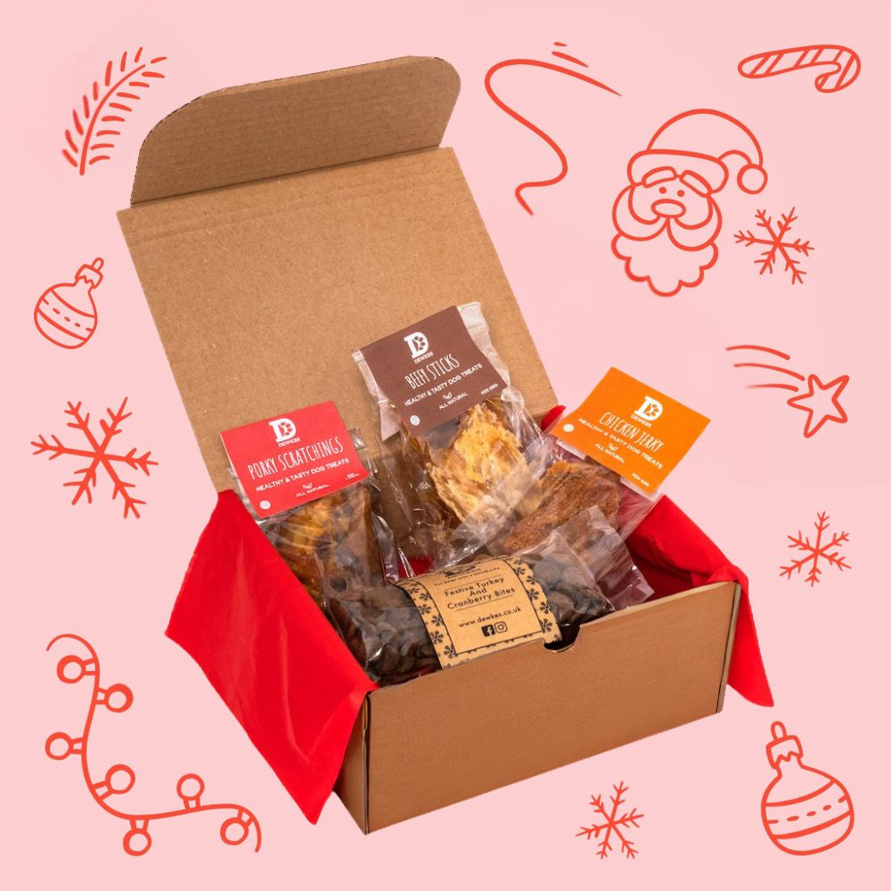 Christmas Dog Treat Gift Box
