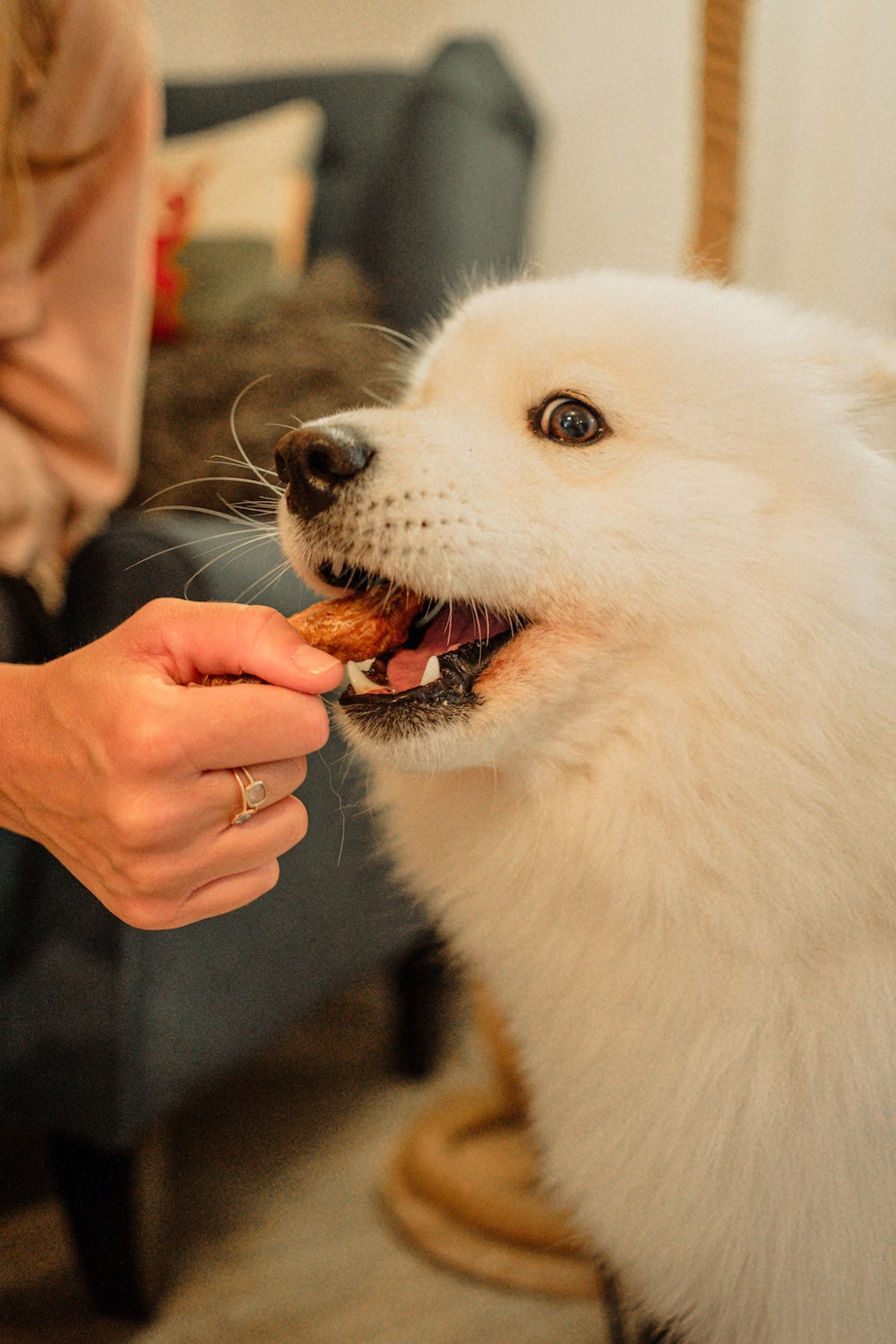 Beefy Sticks Dog Treats (340g)