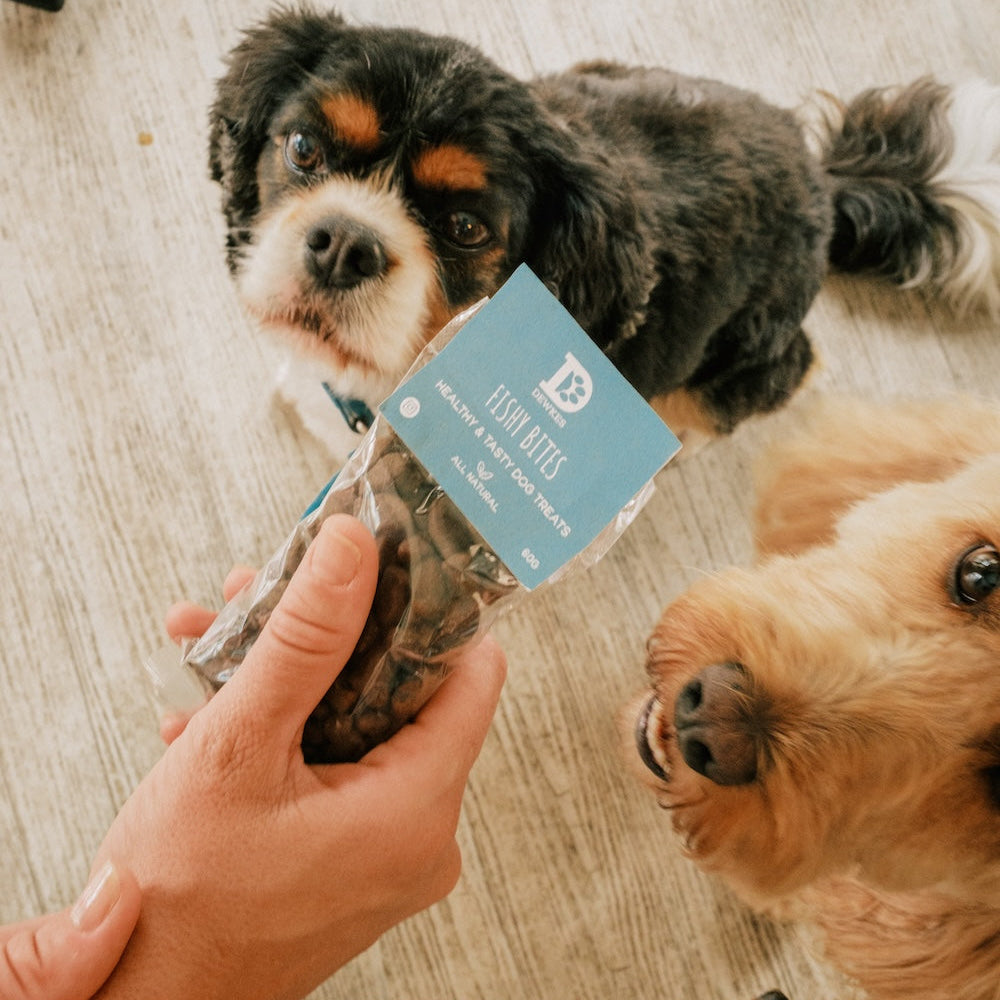 Two dogs looking at a pack of Dewkes Fishy Bites dog treat held by a person on a wooden floor.