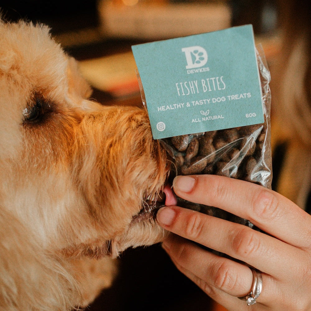 Dog sniffing a package of 'Dewkes Fishy Bites' dog treats held by a person.