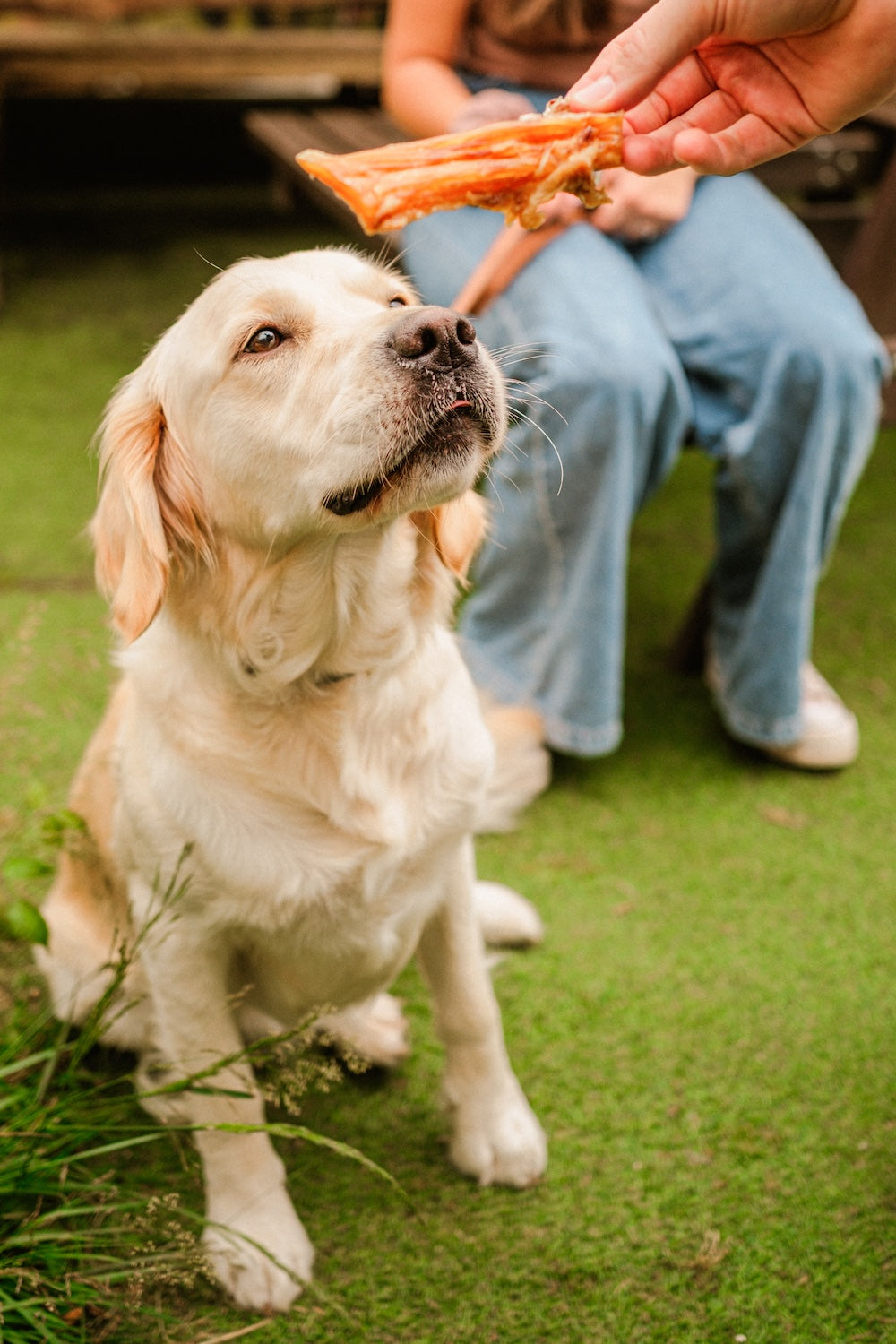 Dewkes Beefy Sticks – Natural Dog Chews for Healthy Teeth and Gums