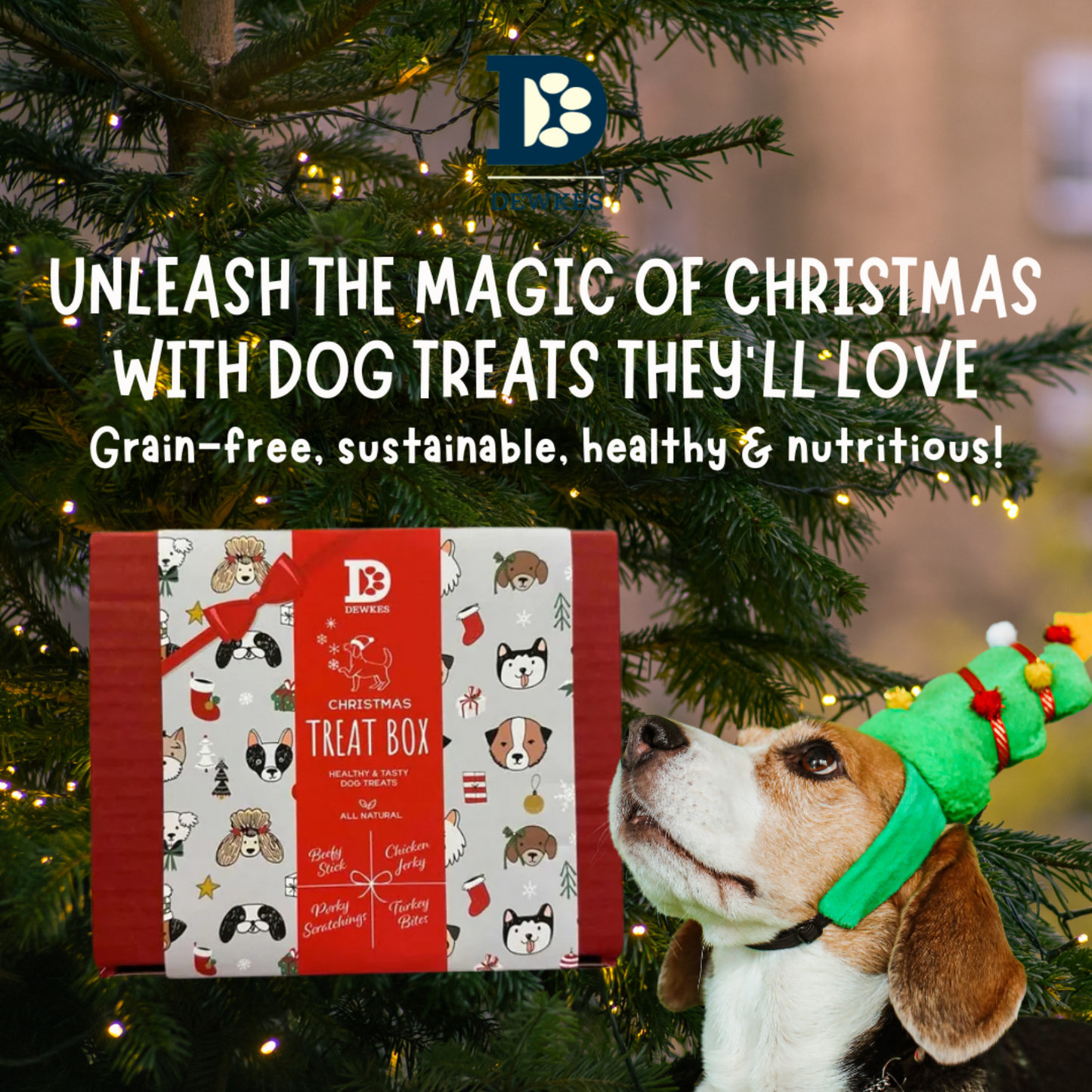 🎄Dewkes Christmas Dog Gift Box | The Ultimate Festive Treat For Your Furry Friend🎁🐾