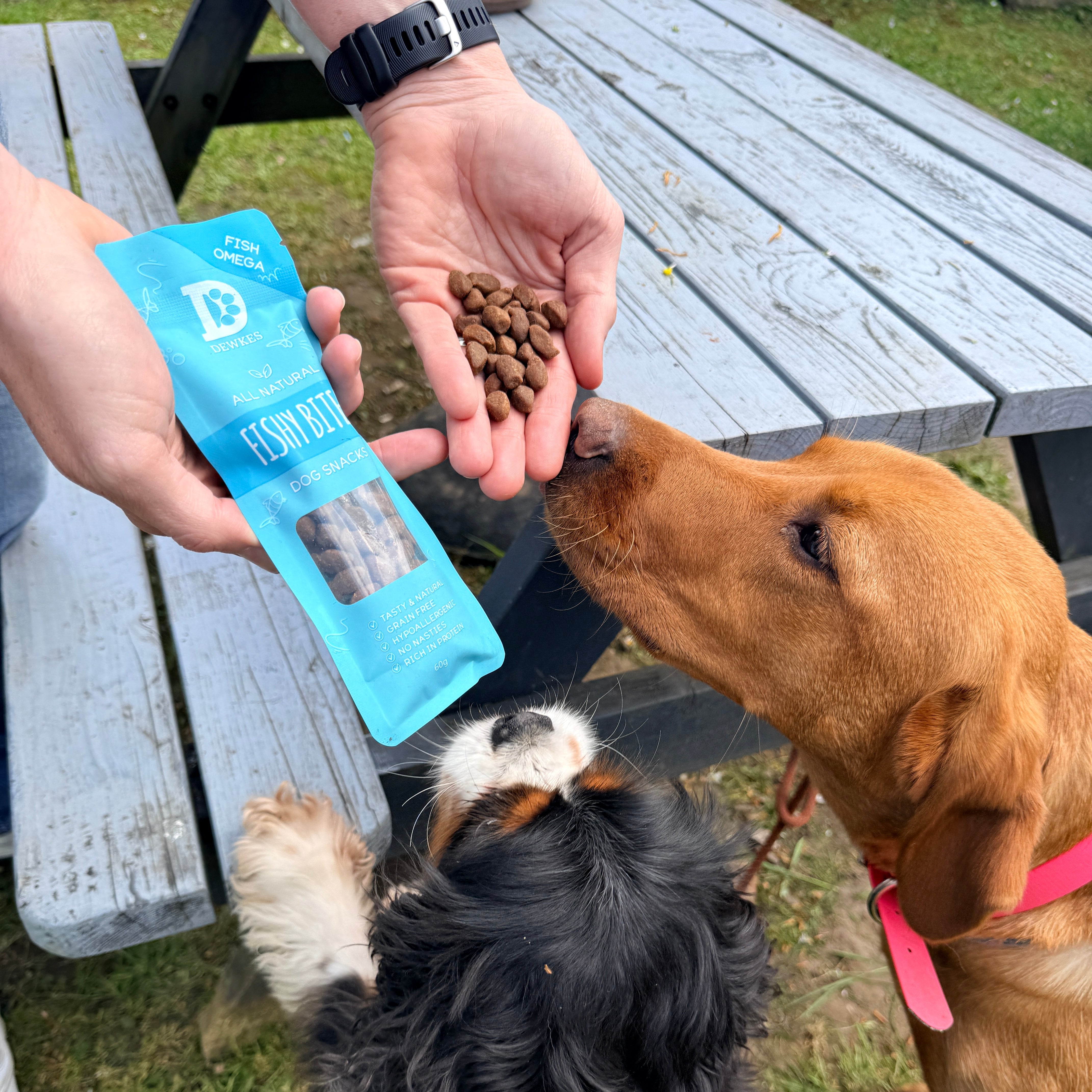 Fishy Bites Dog Treats