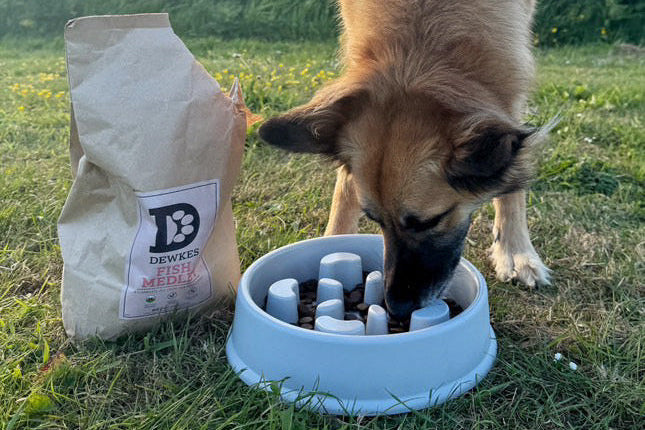 Dog eating from a bowl with a bag of dog food labeled 'Dewkes' in an outdoor setting.