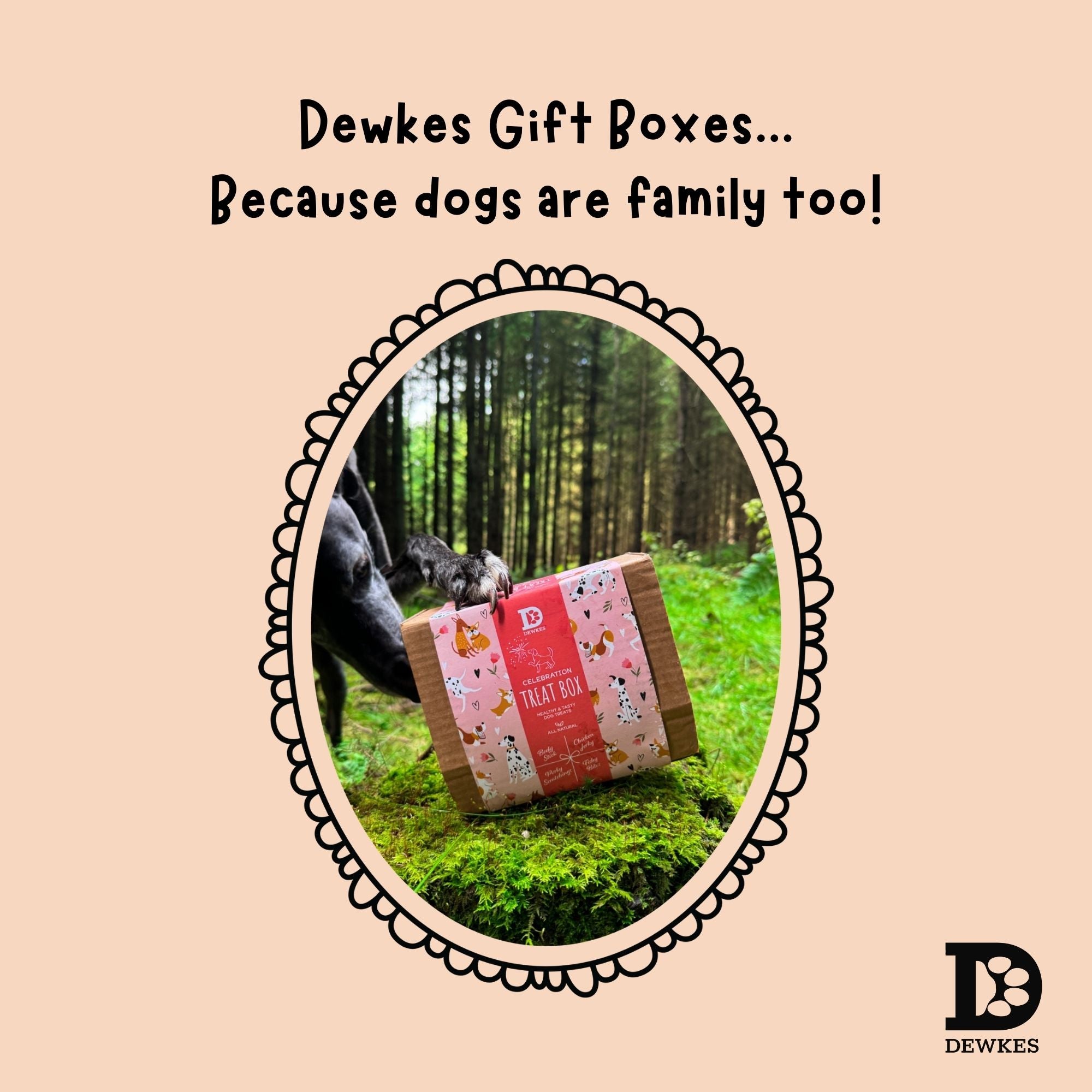 Celebration Dog Treat Gift Box