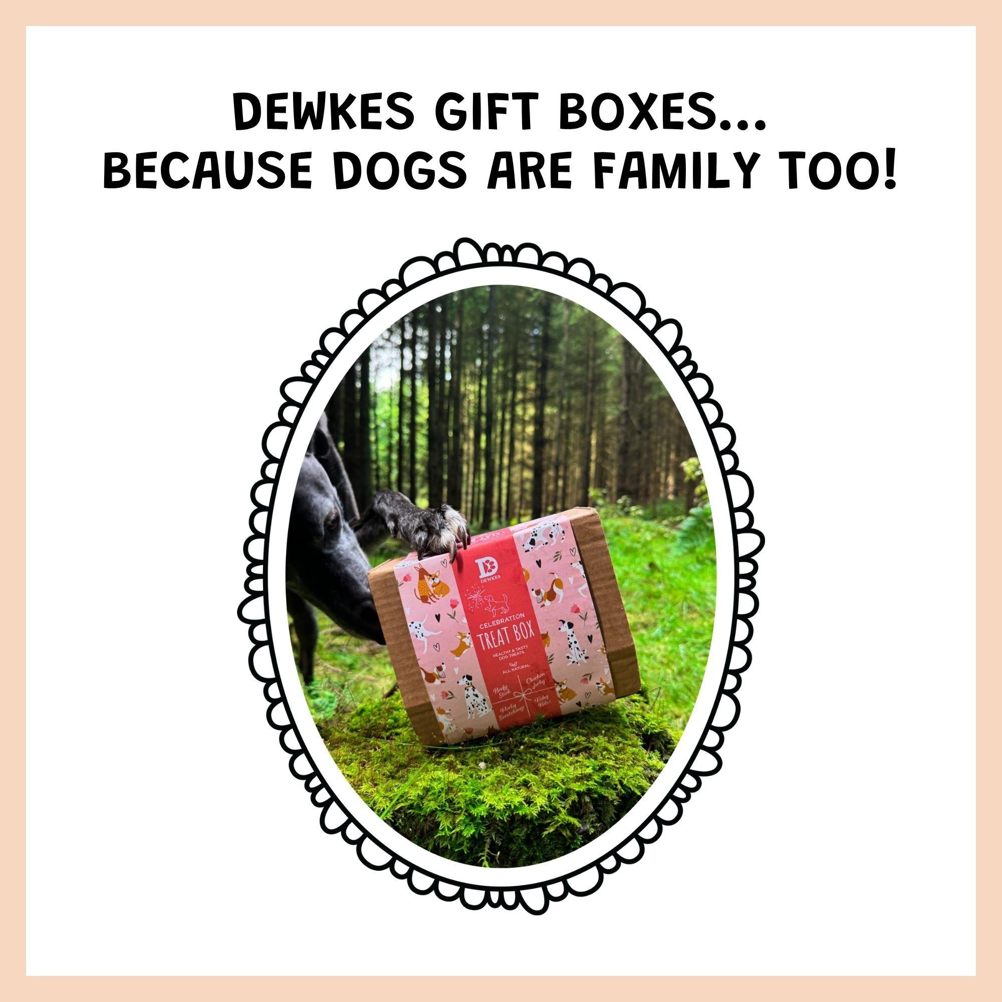 Celebration Dog Treat Gift Box