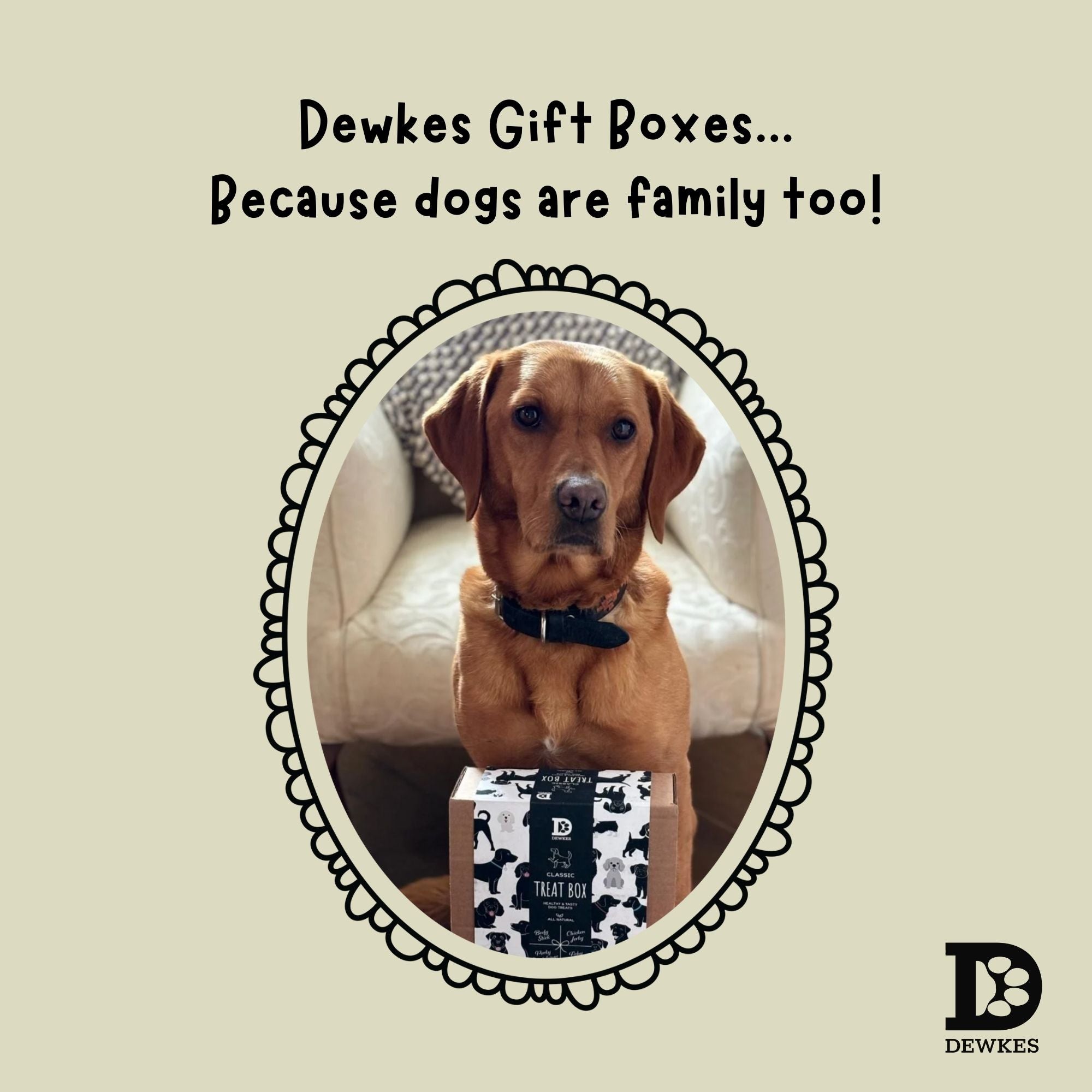 Classic Dog Treat Gift Box