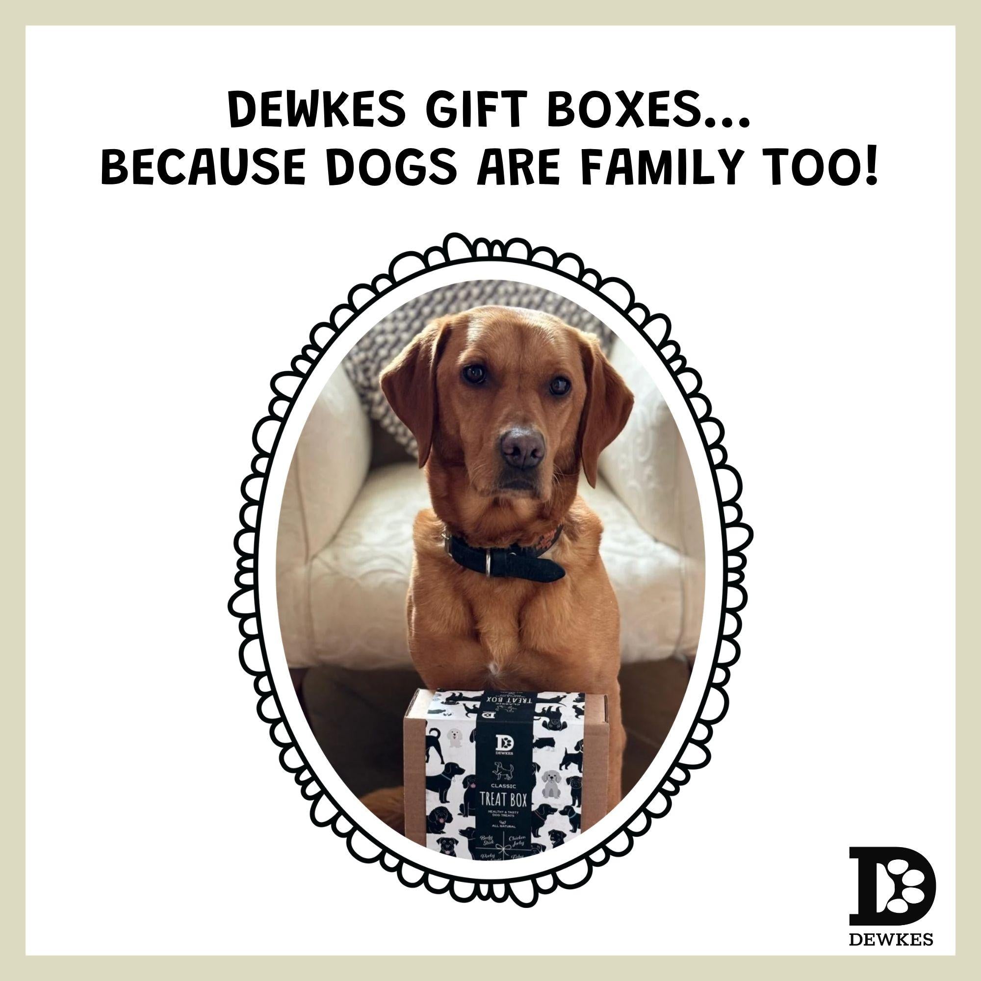 Classic Dog Treat Variety Box