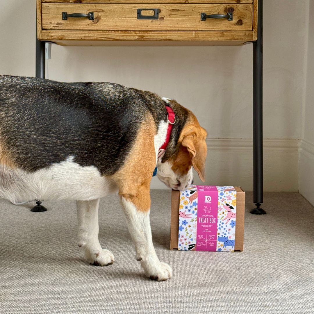 "Good Girl" Dog Treat Gift Box