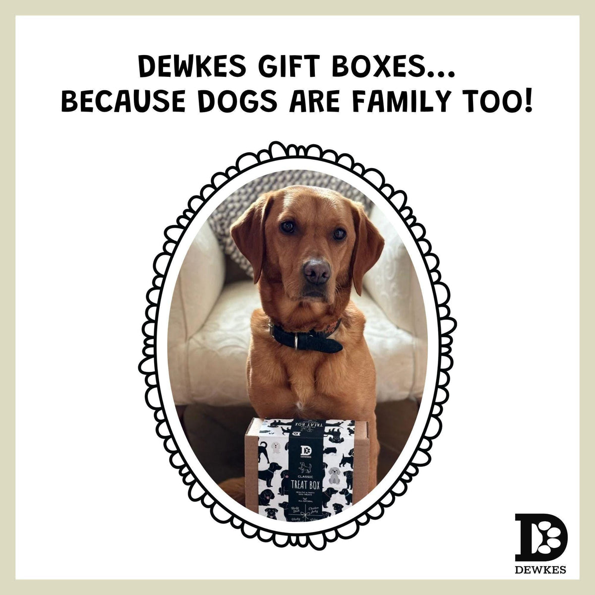 Natural Dog Treat Variety Box