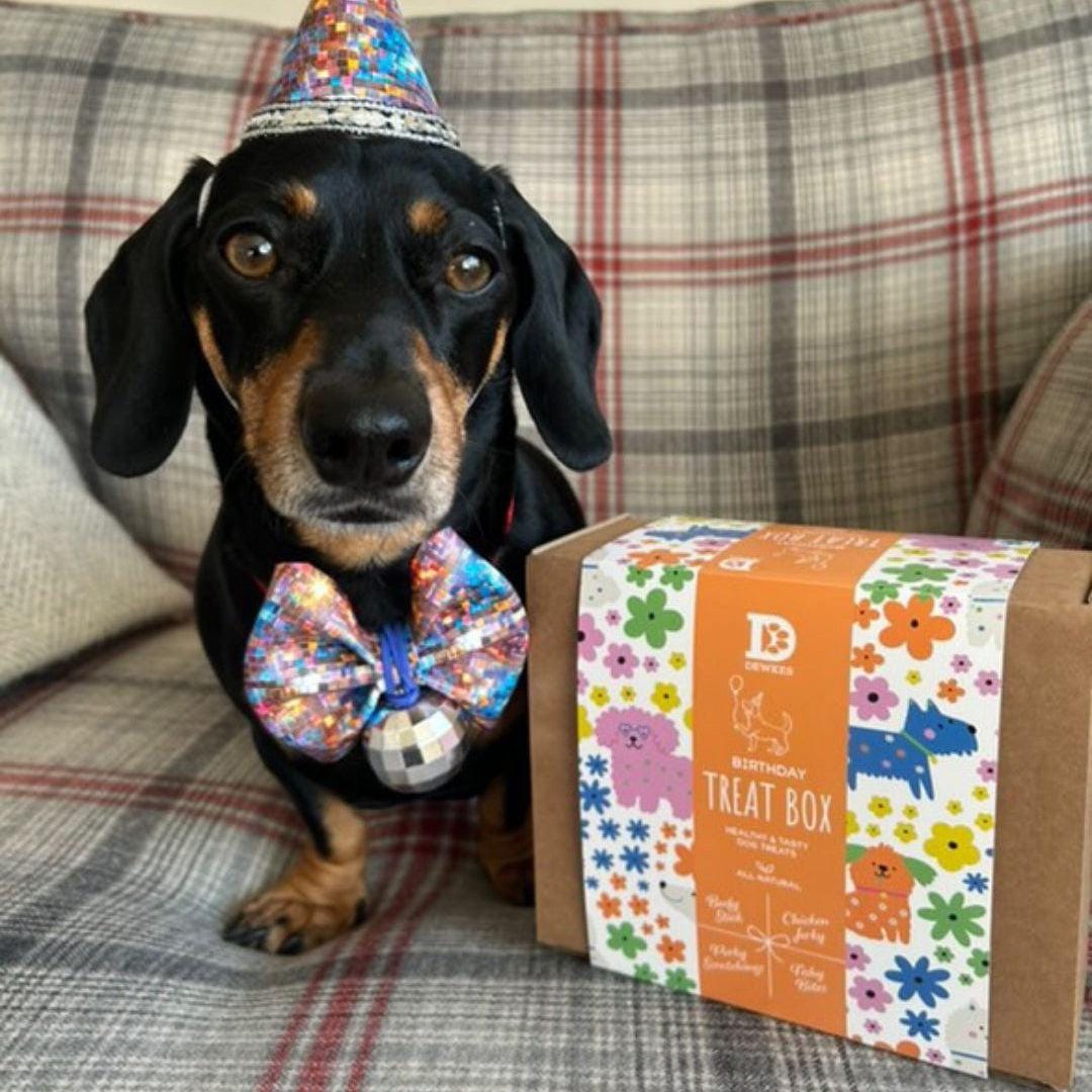Dog Birthday Treat Gift Box