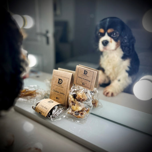 The Rise of Pet Spending: Why We’re Treating Our Pets Like Family