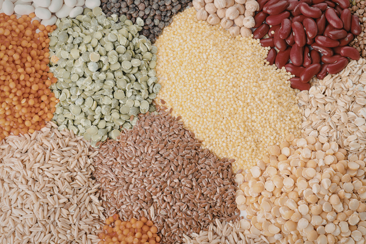 Why Do Some Dogs Struggle With Grain?