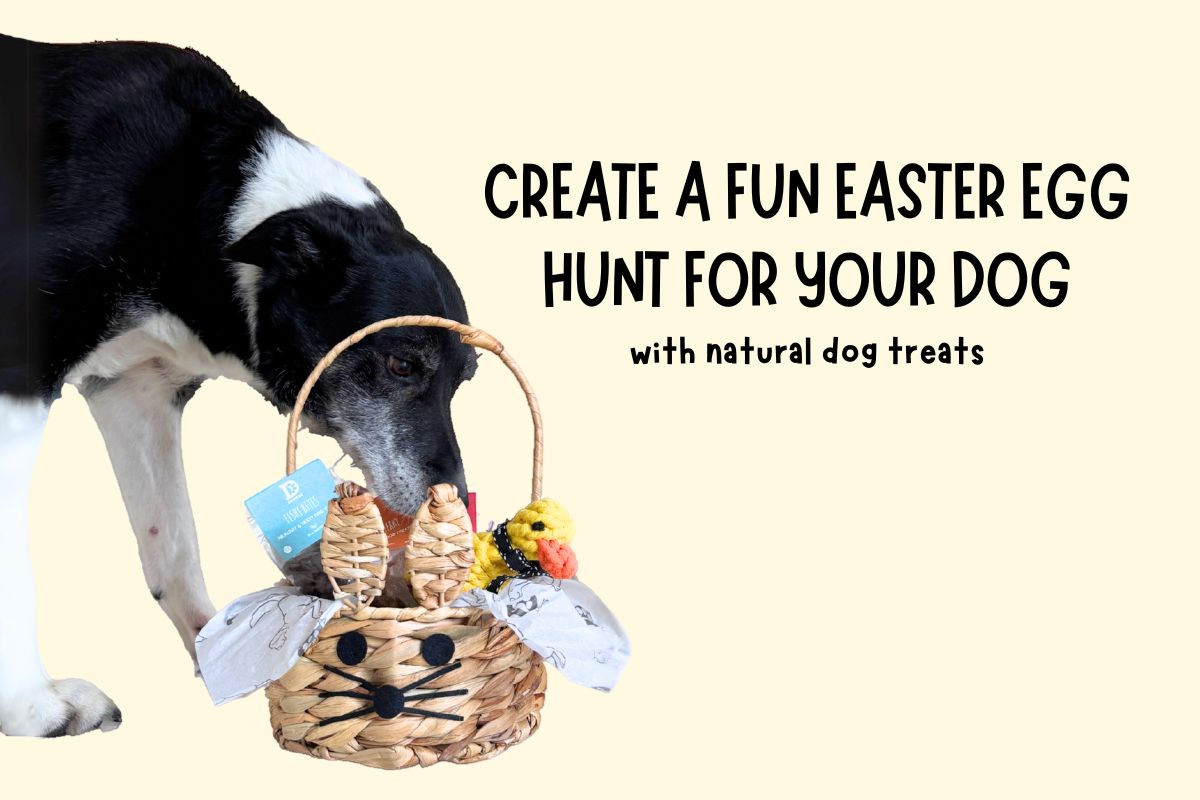 How to Create a Fun Easter Egg Hunt for Your Dog (with Natural Treats)