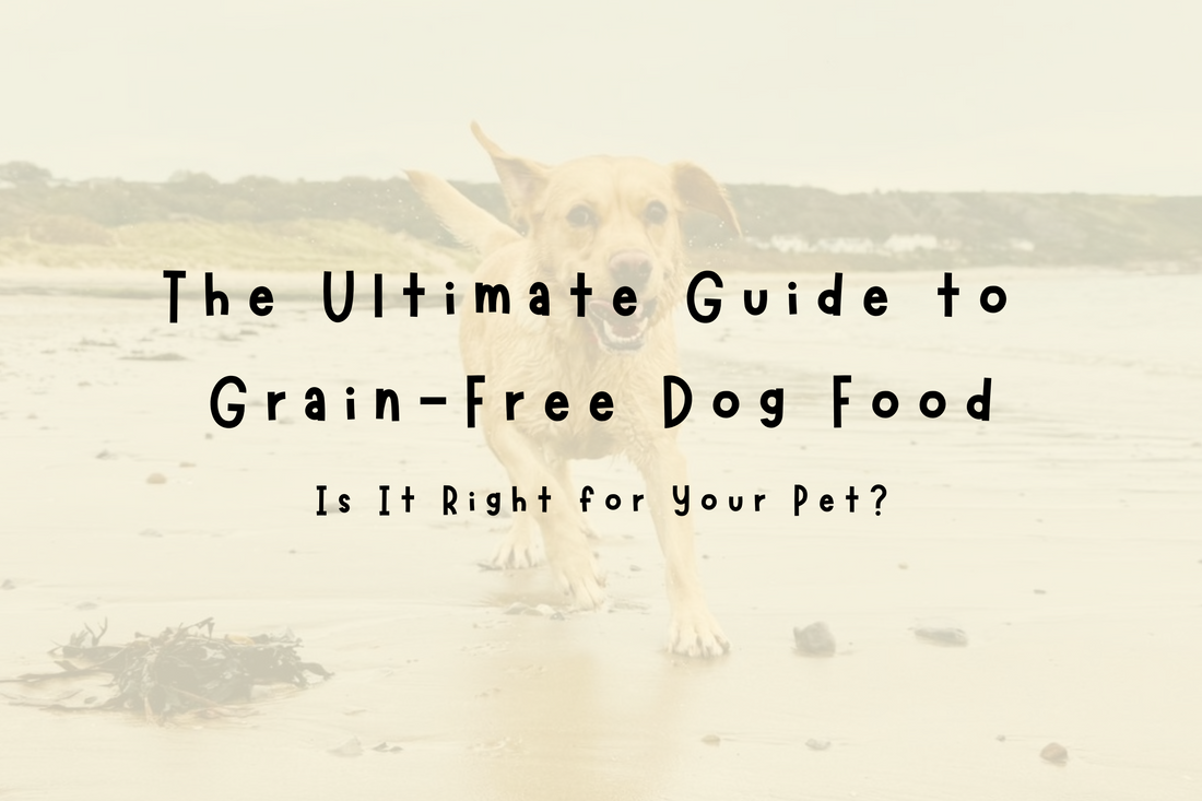 Best Grain-Free Dog Food - Healthy, Natural Nutrition for your Dog