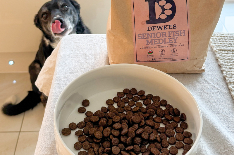 Dog beside a bowl of hypoallergenic dog food