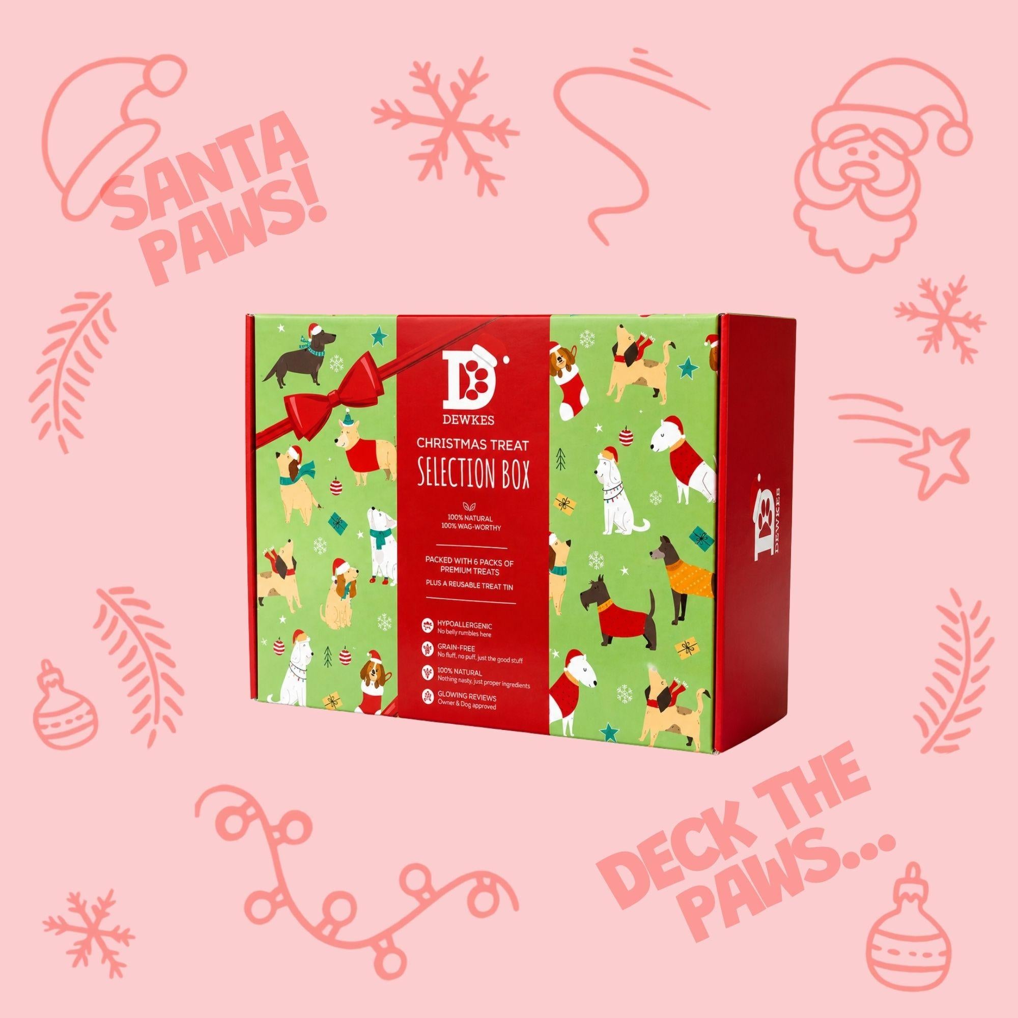 Christmas Dog Treat Gift Box