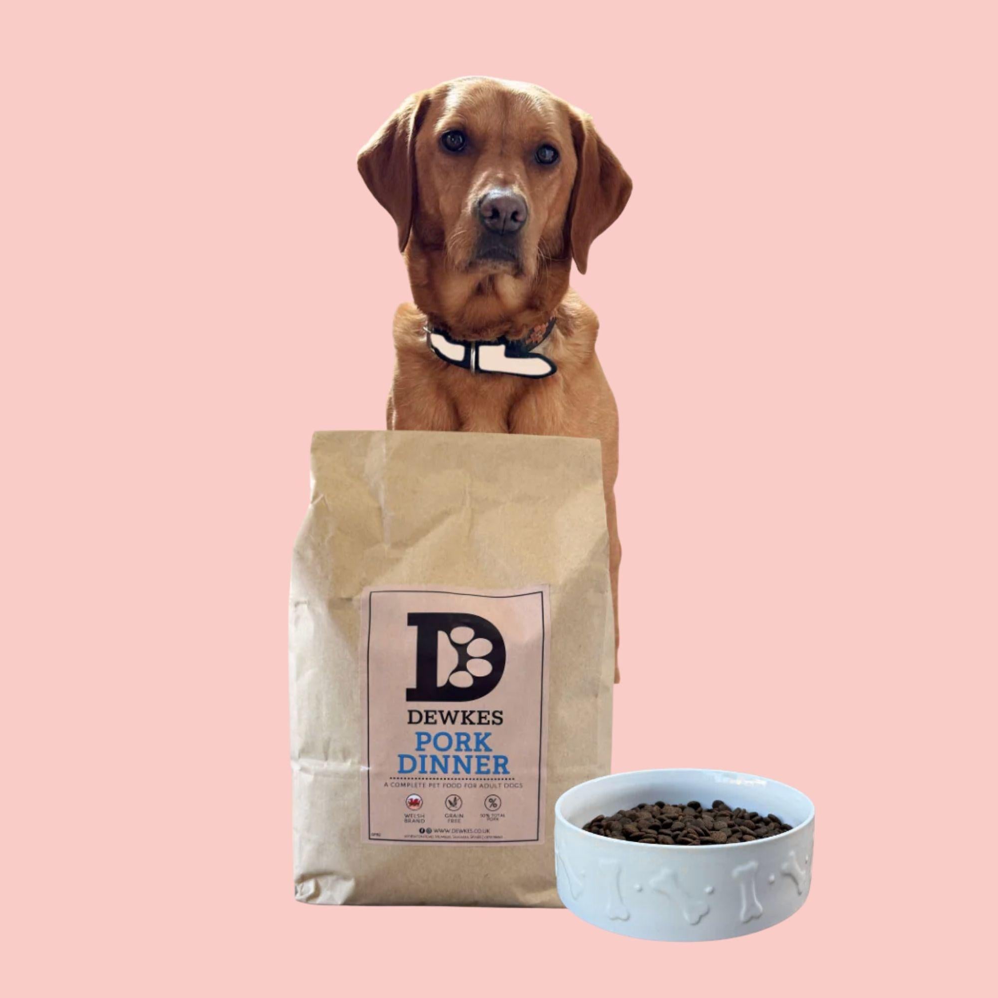 Pork Dinner Grain-Free Dry Dog Food