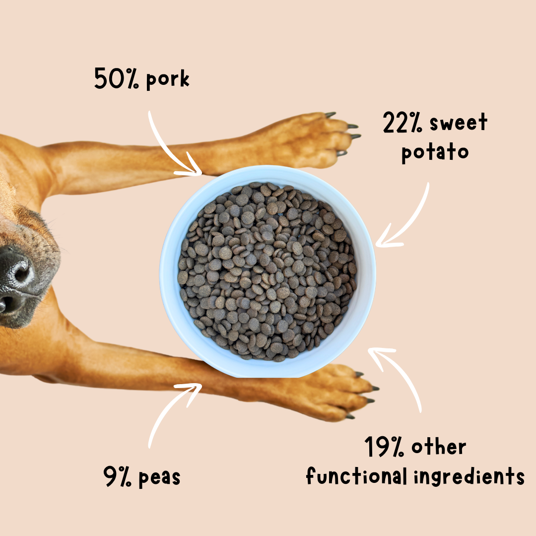 Pork Dinner Grain-Free Dry Dog Food