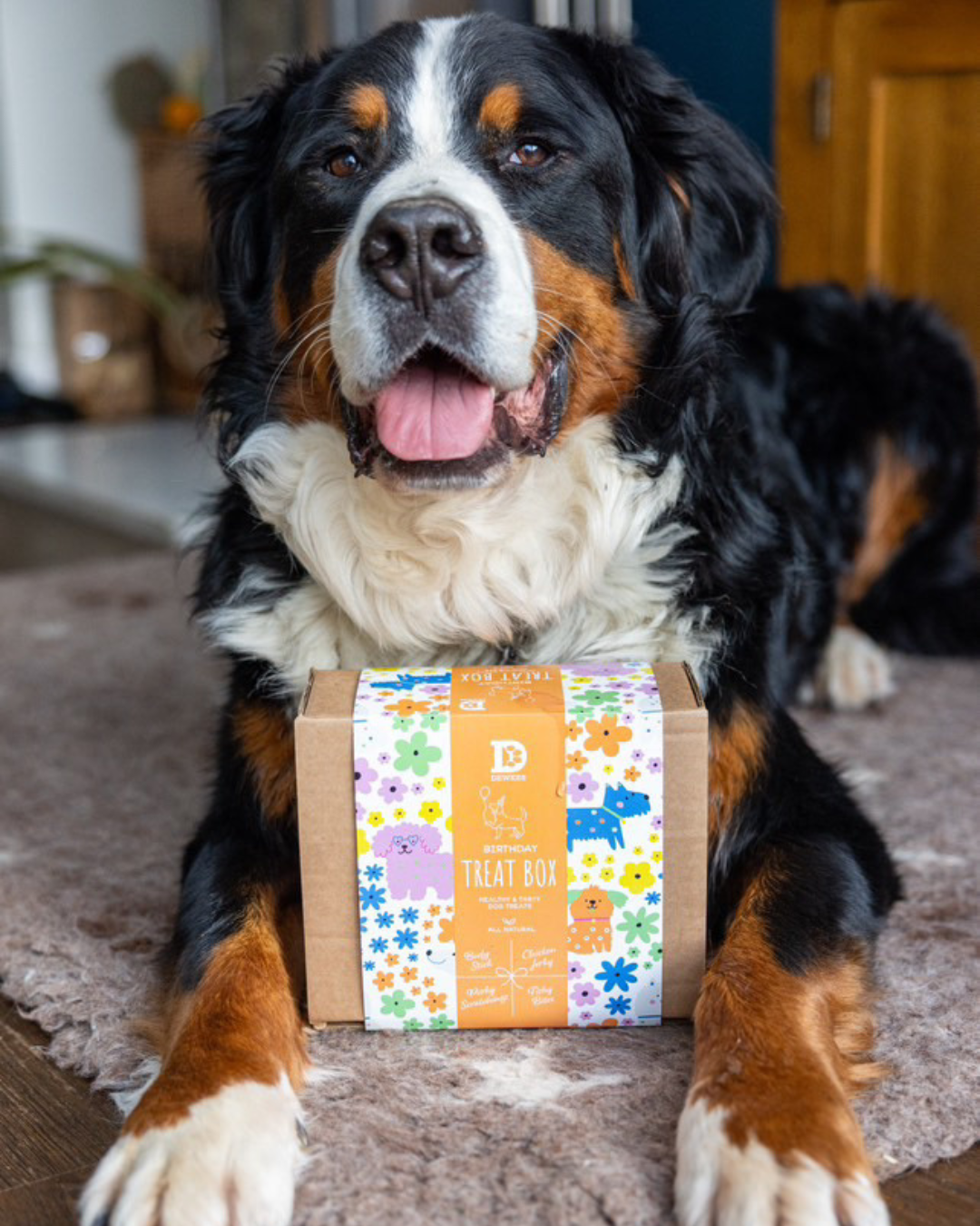Dewkes Birthday Treat Box – Gourmet Natural Treats for Special Dogs